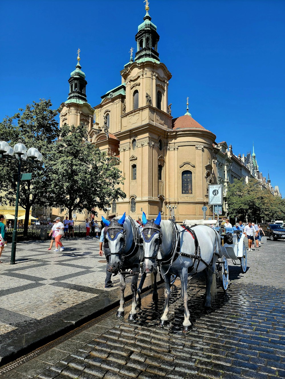 horses pulling a carriage