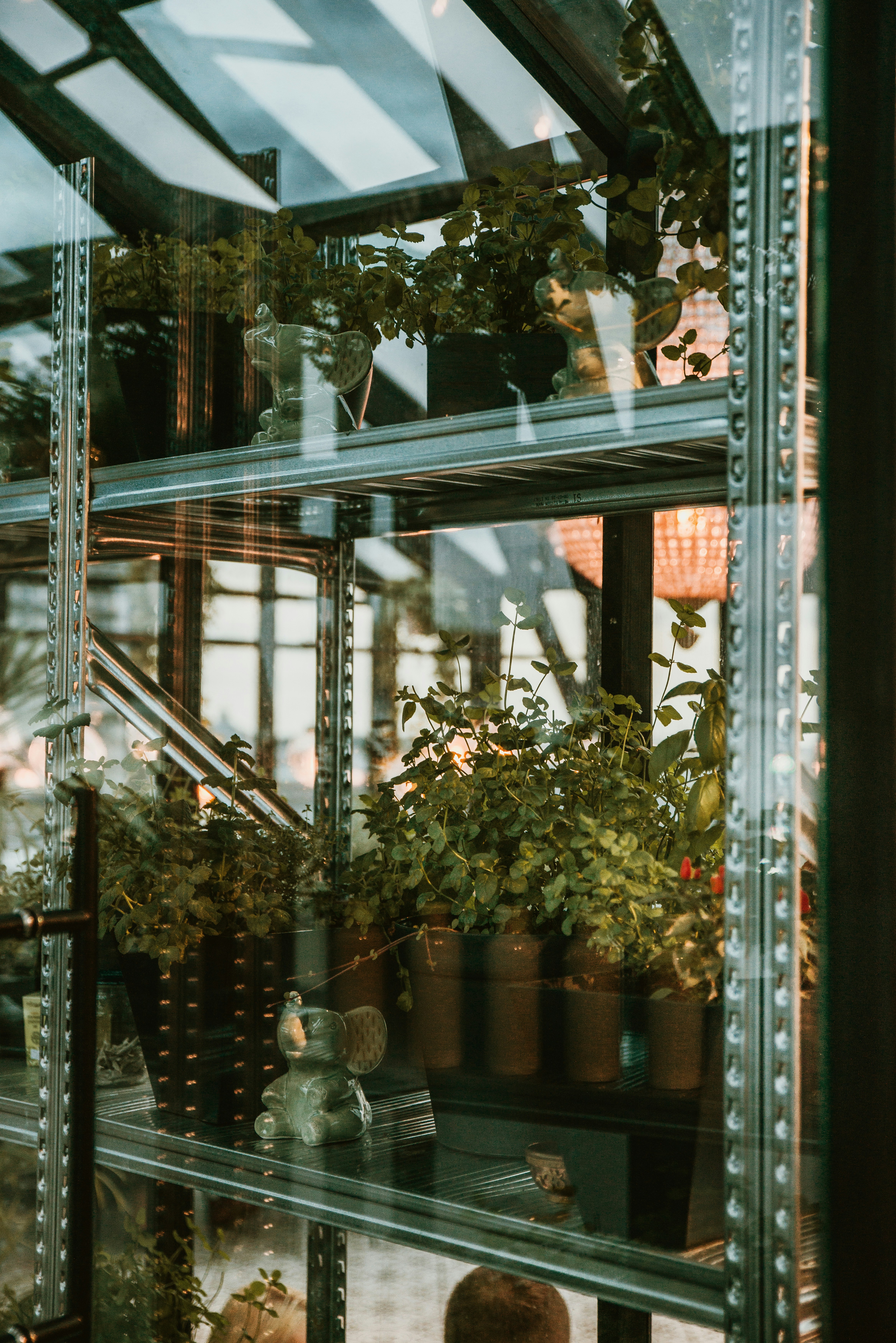 Photo by anitaaustvika