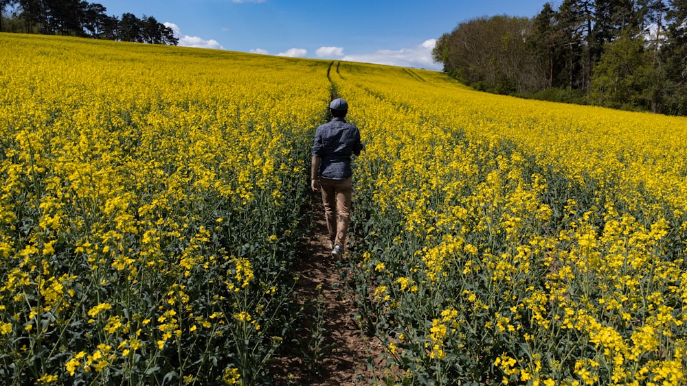 uma pessoa andando em um campo de flores