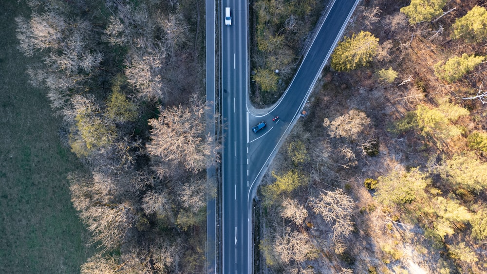 Eine Straße mit Bäumen und Gras