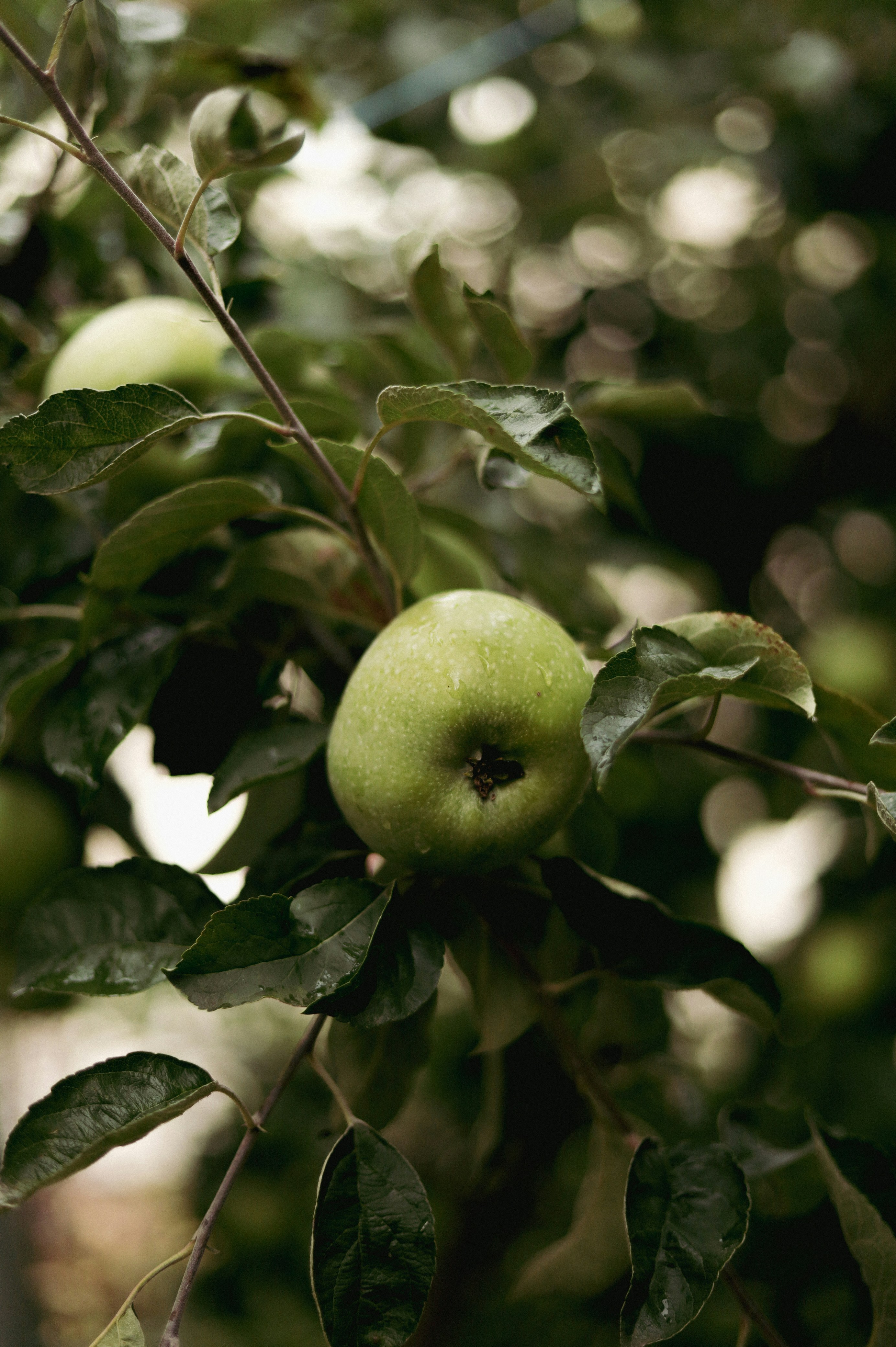 Photo by filipchenko