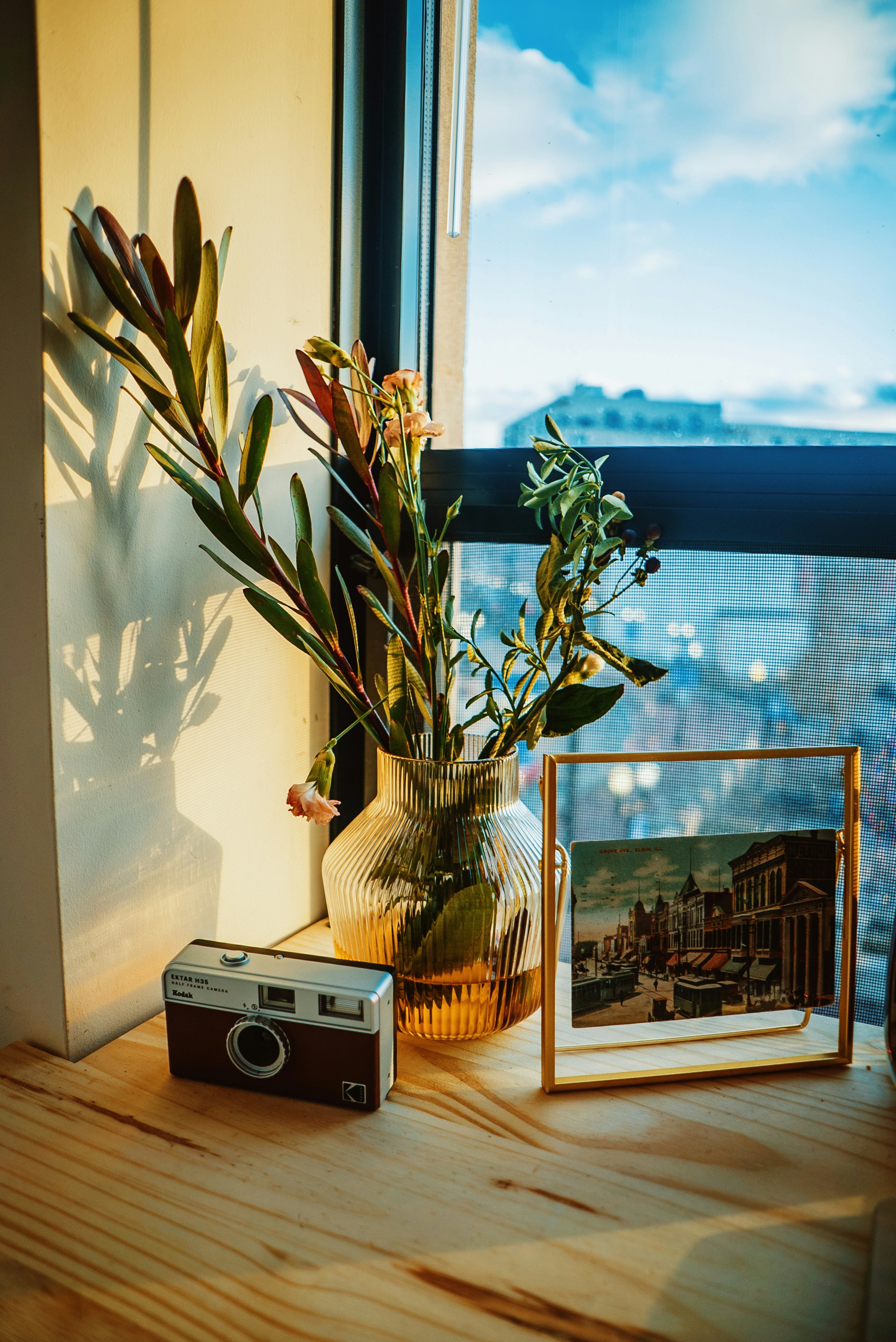 a camera next to a vase with flowers