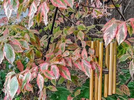 a fence with many colorful leaves