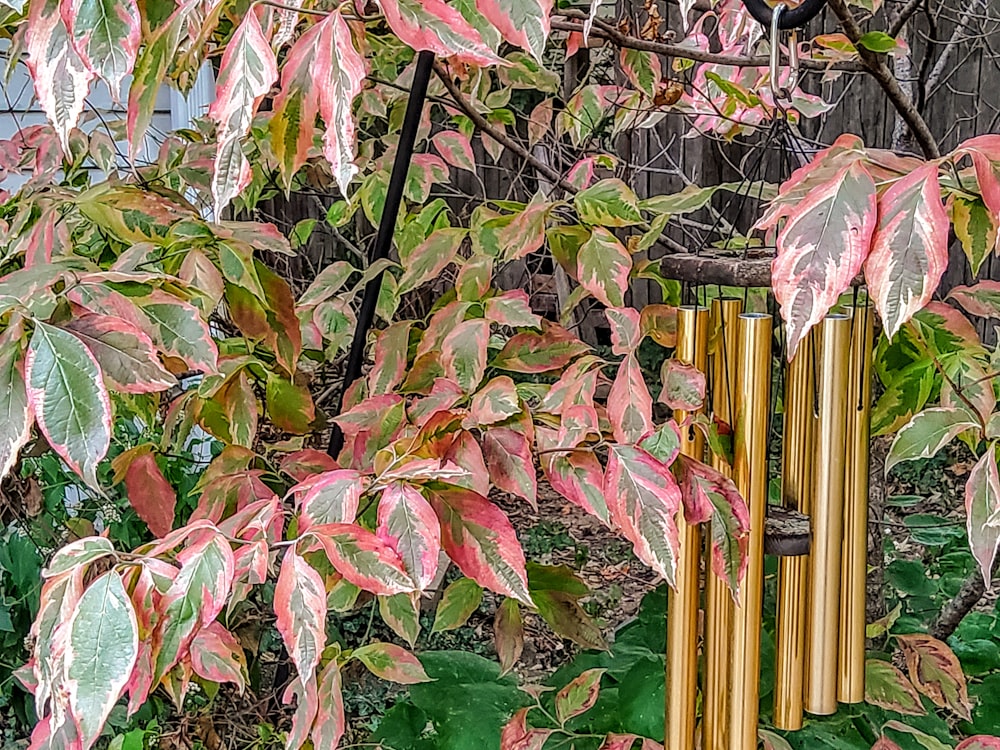a fence with many colorful leaves