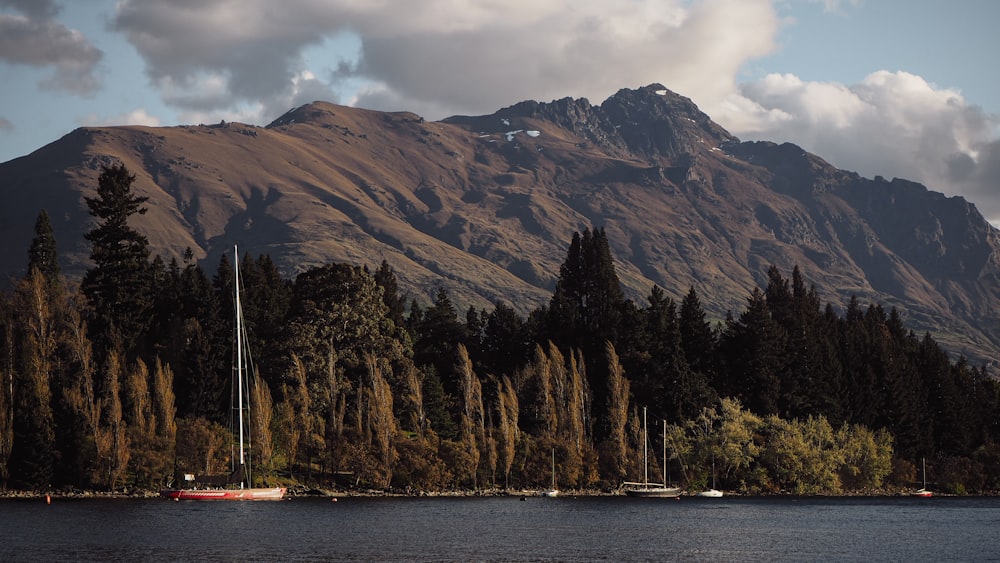 a body of water with boats and trees by it and mountains in the background