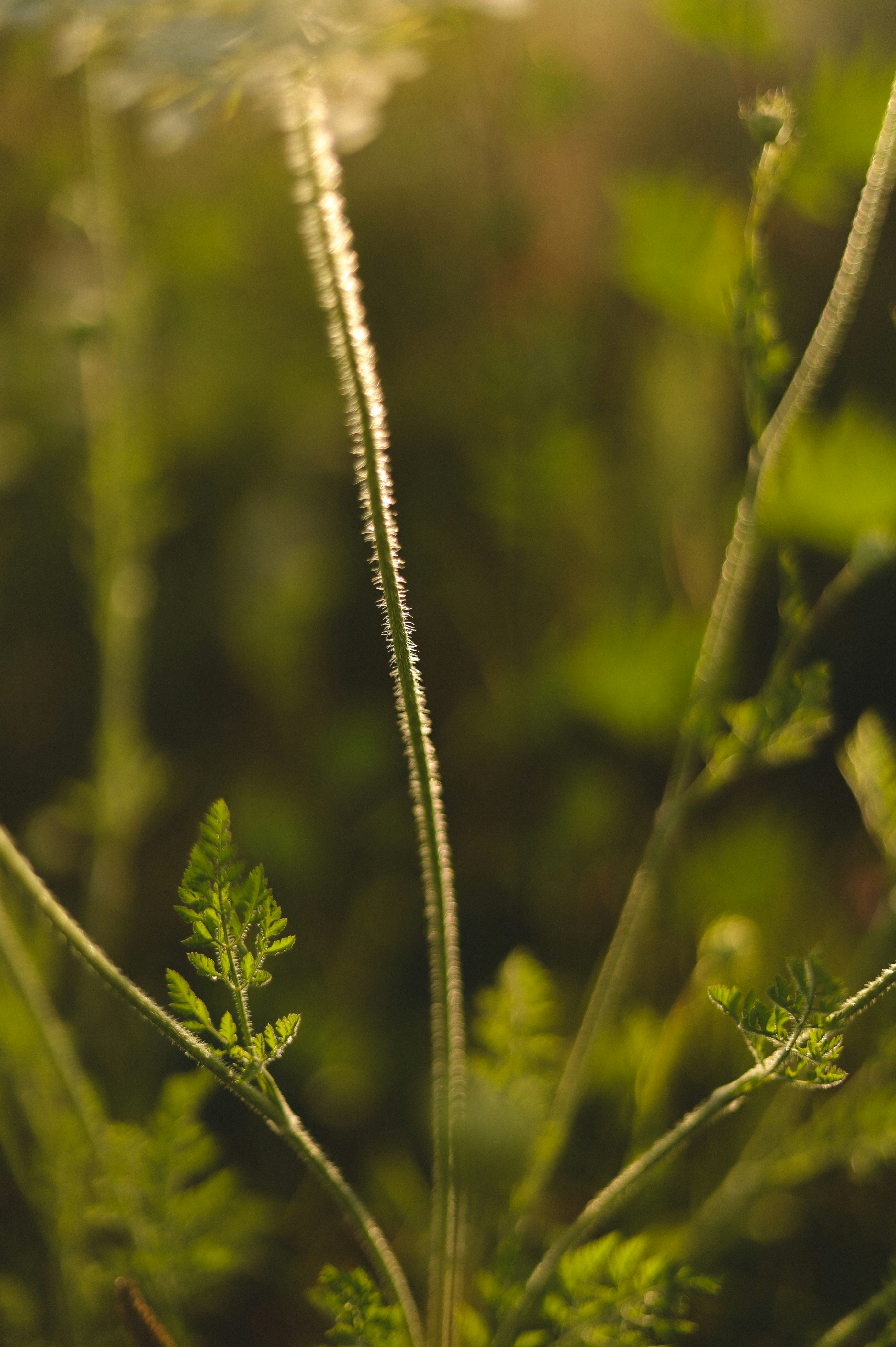 Photo by filipchenko