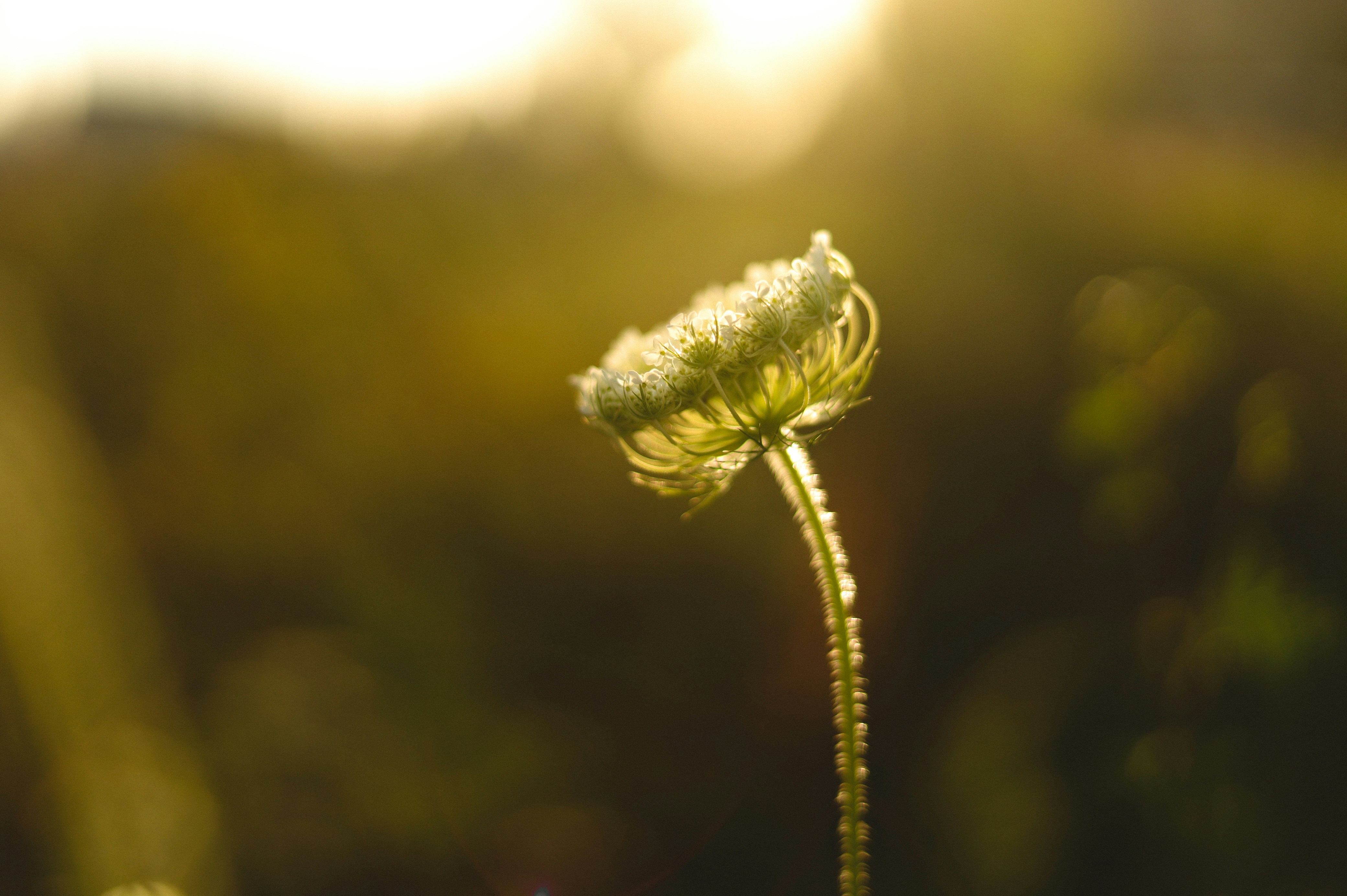 Photo by filipchenko