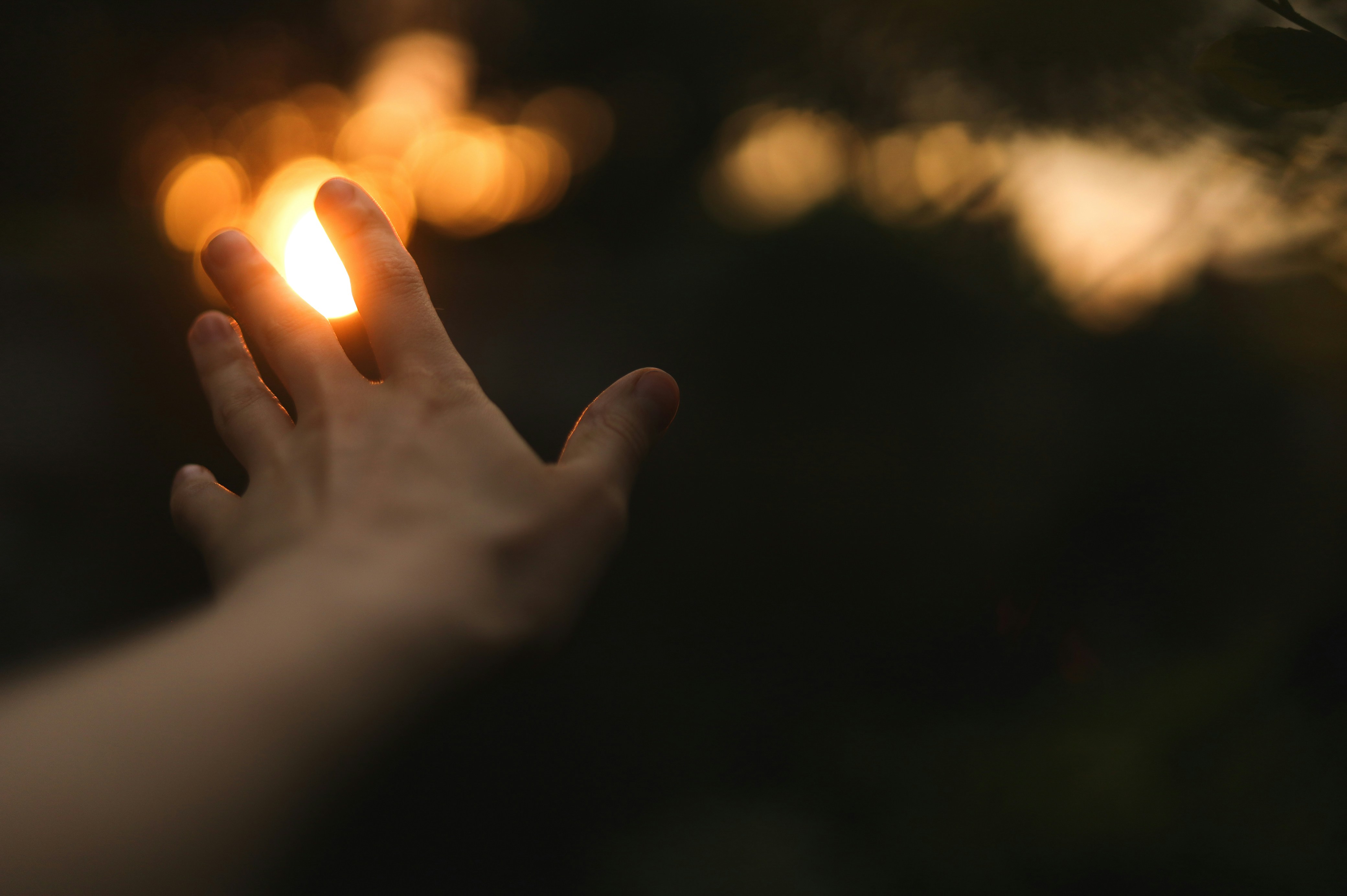 Photo by filipchenko