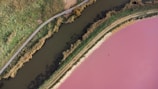 a road with water on the side