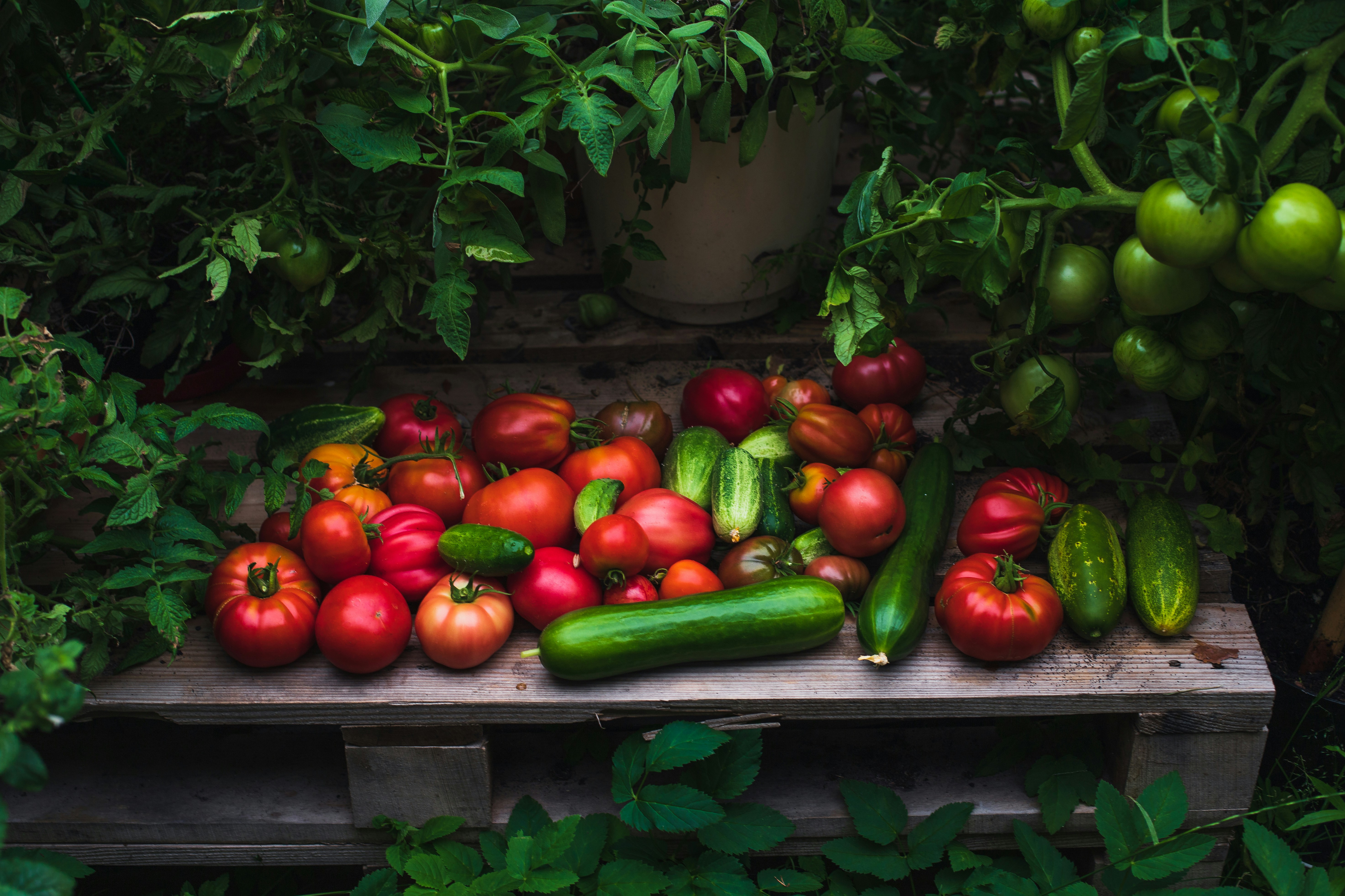 A group of fruits on a table
