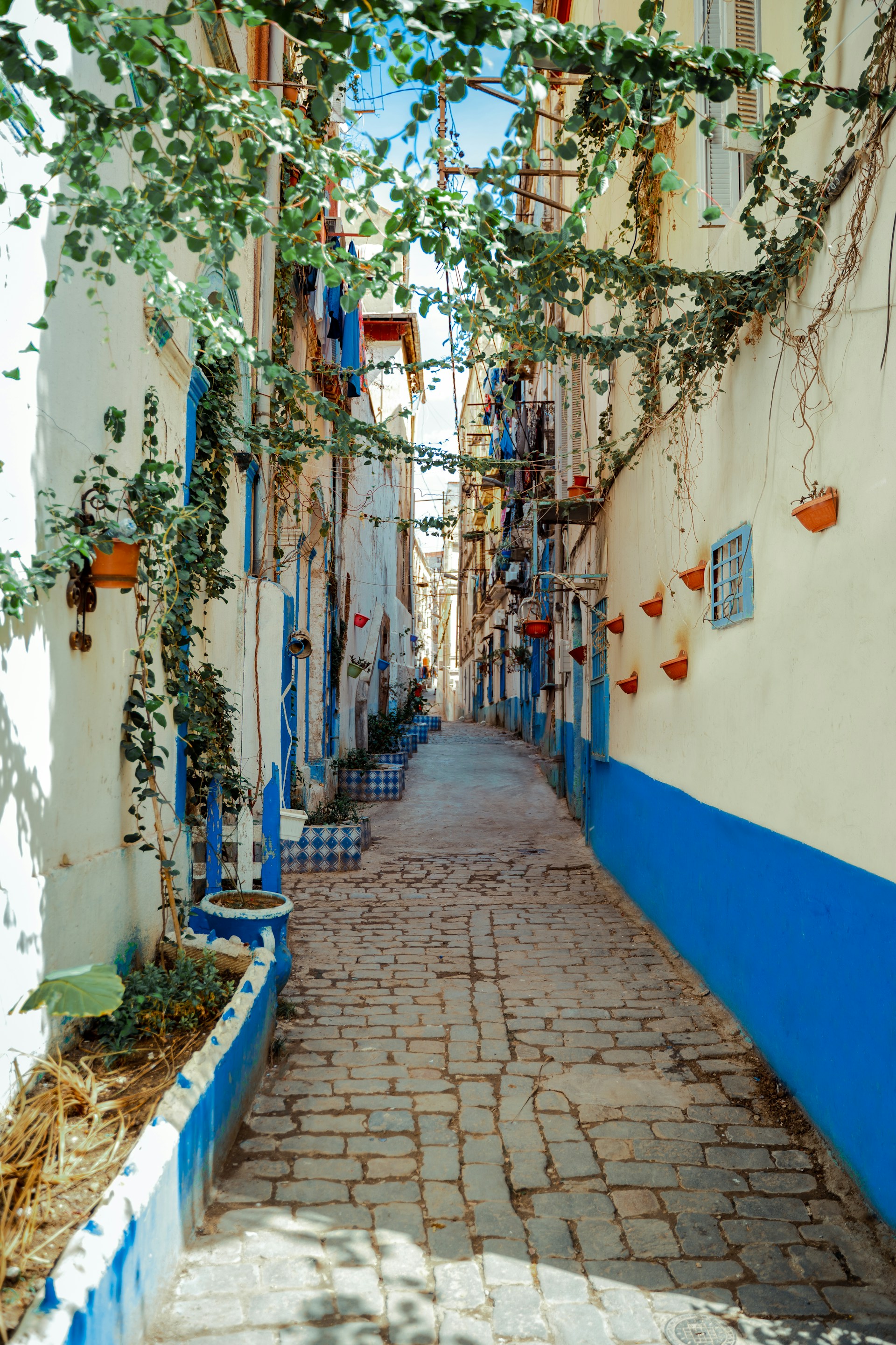 a narrow alley between two buildings