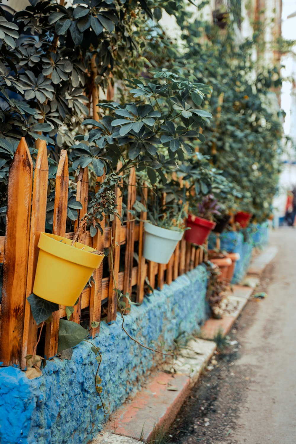 a fence with potted plants