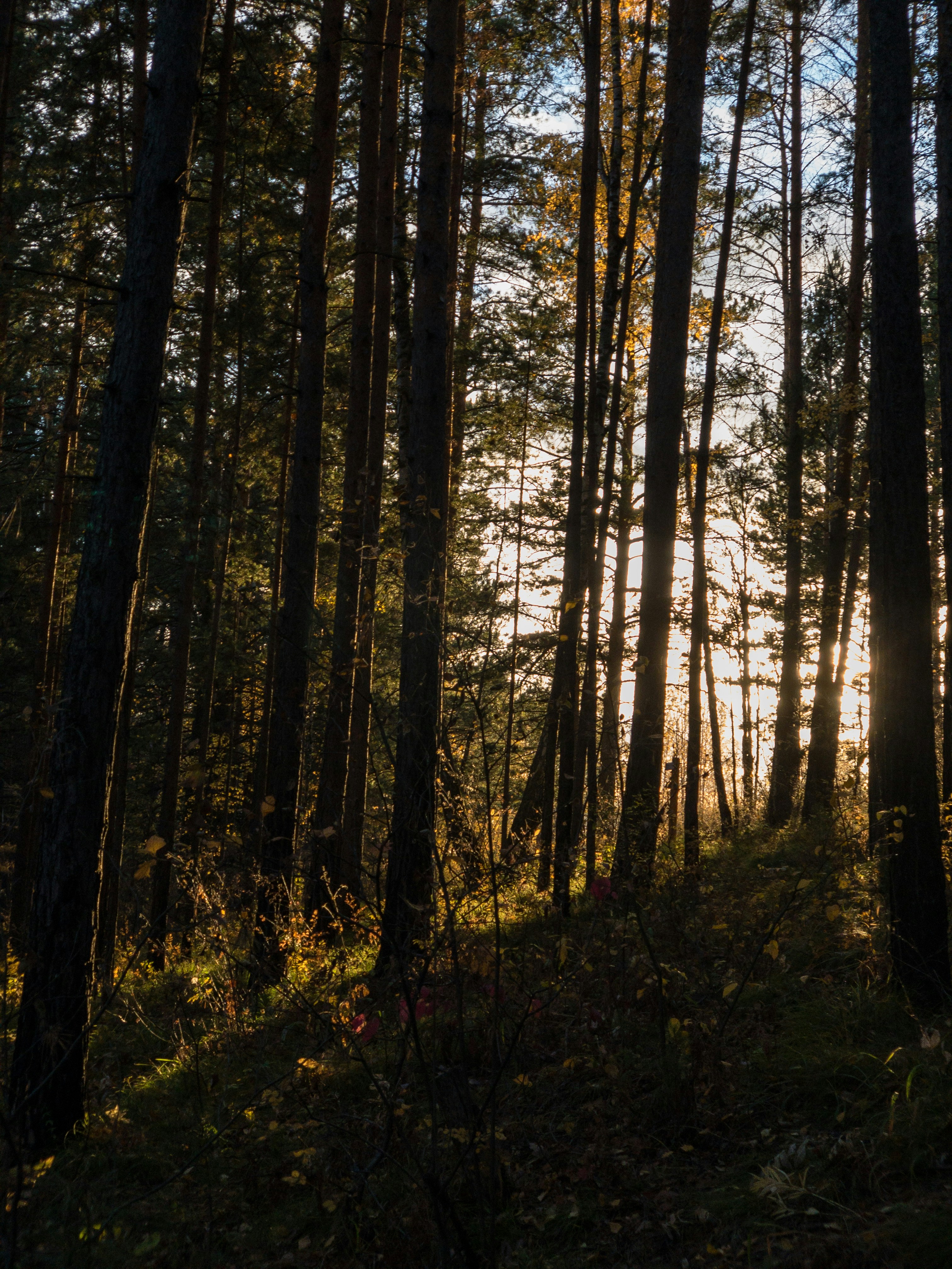 Photo by ivan_primestars