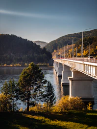 A warm, sunlit bridge symbolizing connection and hope over a calm river.