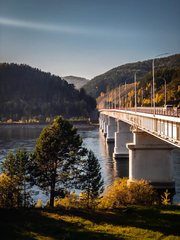 A warm, sunlit bridge symbolizing connection and hope over a calm river.