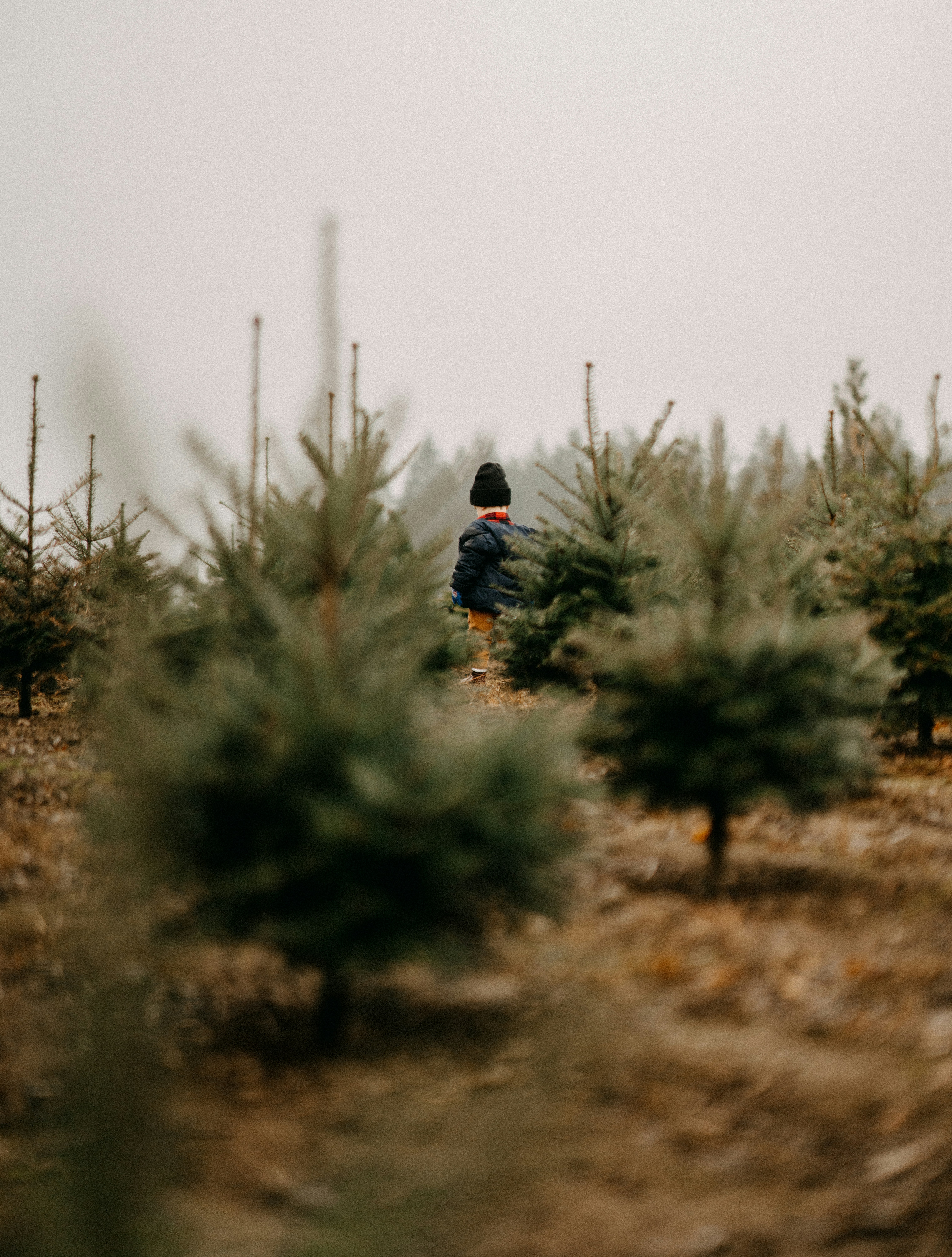a person standing next to a tree