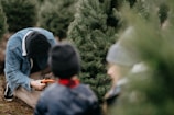 A person wearing a hooded jacket is kneeling on the ground, holding a small saw near the base of a pine tree, suggesting they are cutting it down. Another person, partially blurred in the foreground, appears to be watching. The background is filled with other evergreen trees, indicating a tree farm or forest setting.