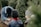 A person wearing a hooded jacket is kneeling on the ground, holding a small saw near the base of a pine tree, suggesting they are cutting it down. Another person, partially blurred in the foreground, appears to be watching. The background is filled with other evergreen trees, indicating a tree farm or forest setting.