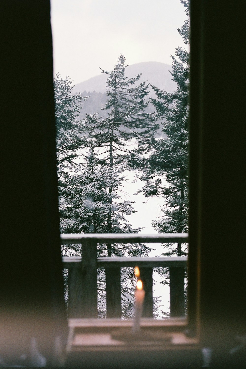 a window with trees outside