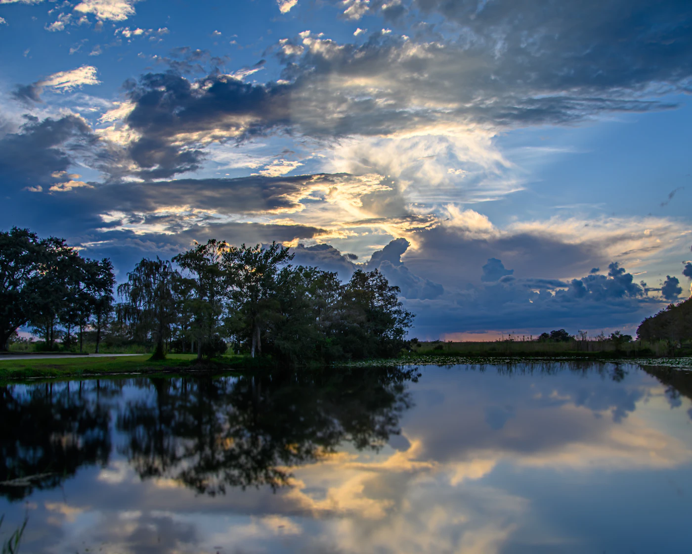 Trees reflected in still water under a big South Florida sky.
