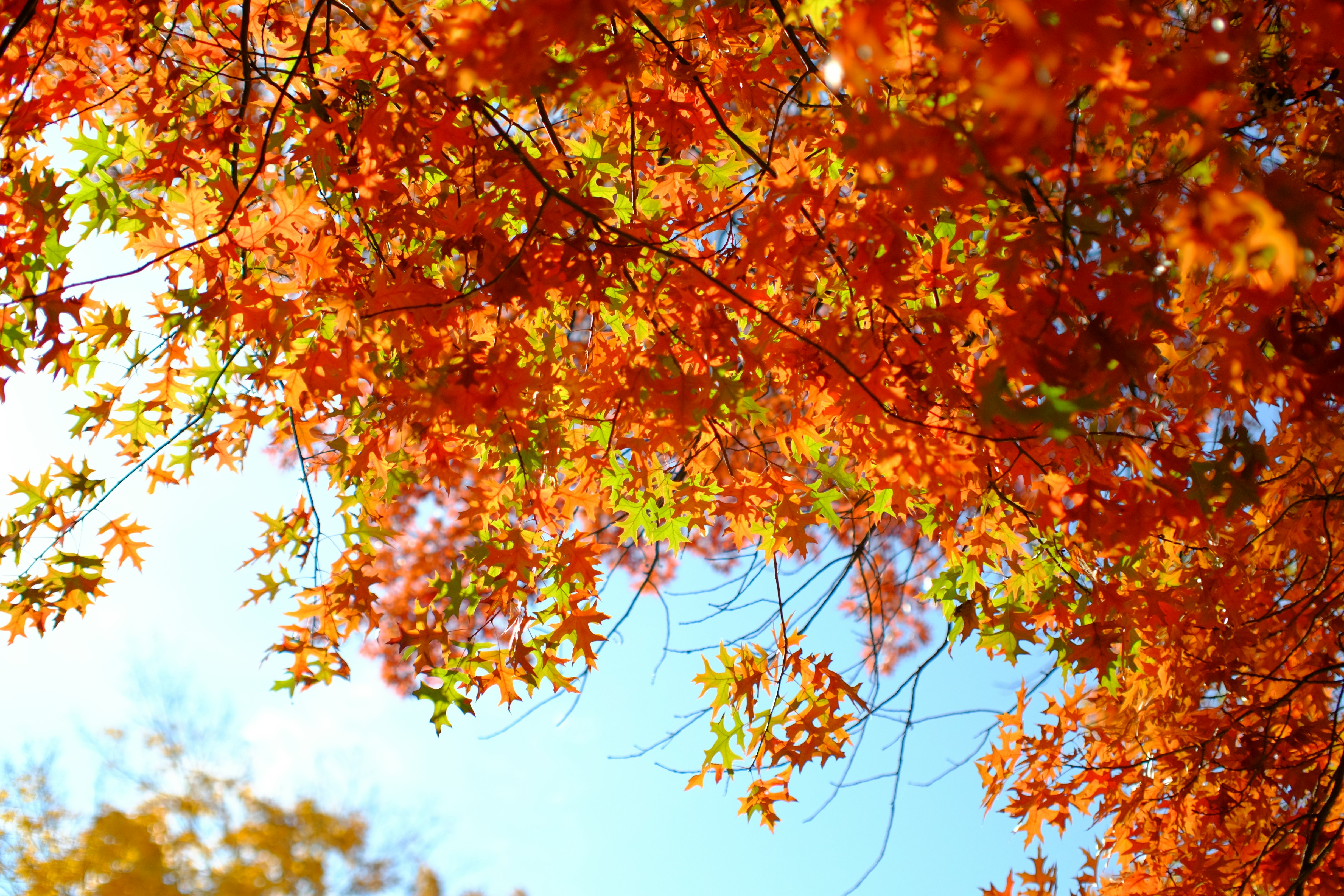 Photo by andreas_qie