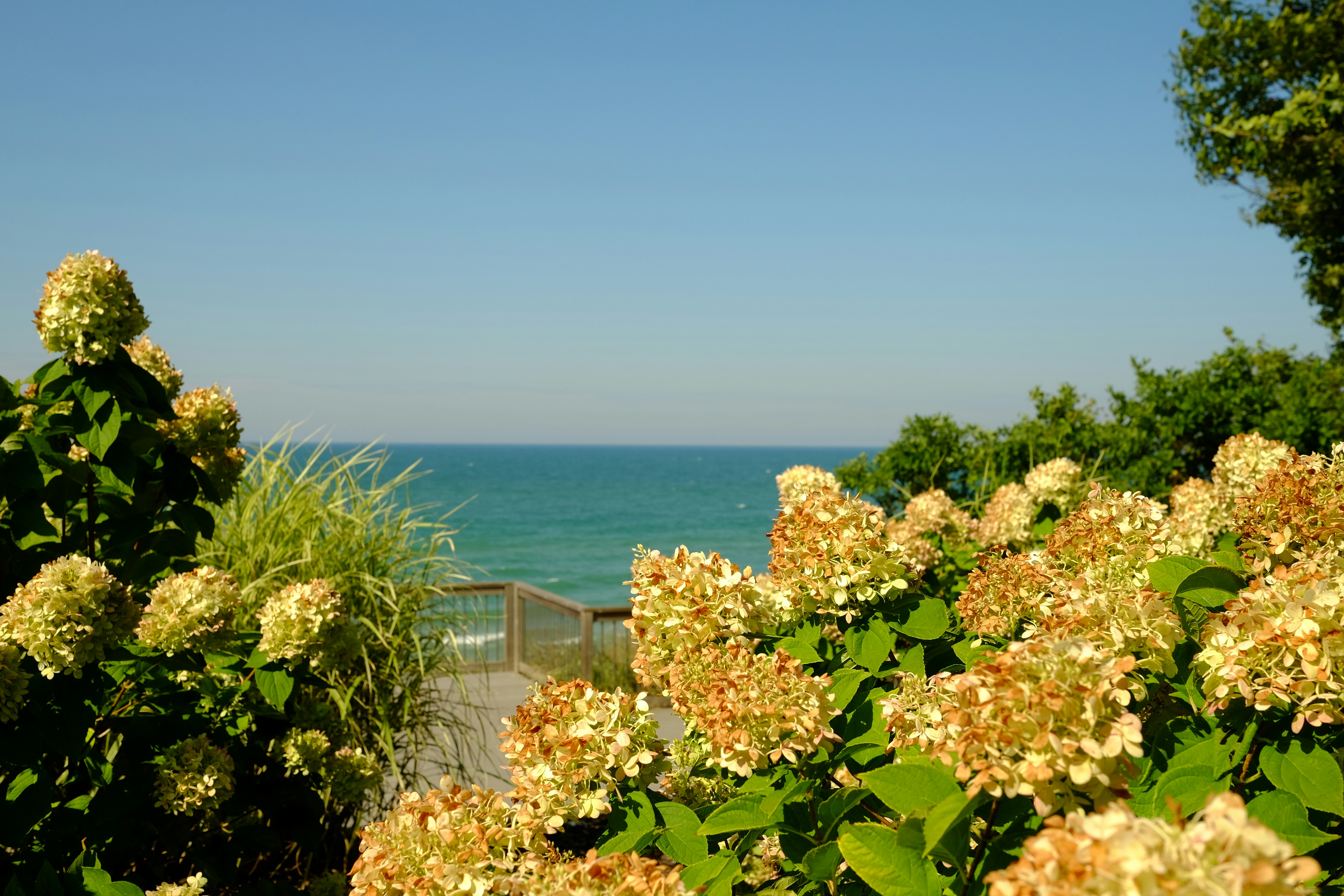 Photo by andreas_qie