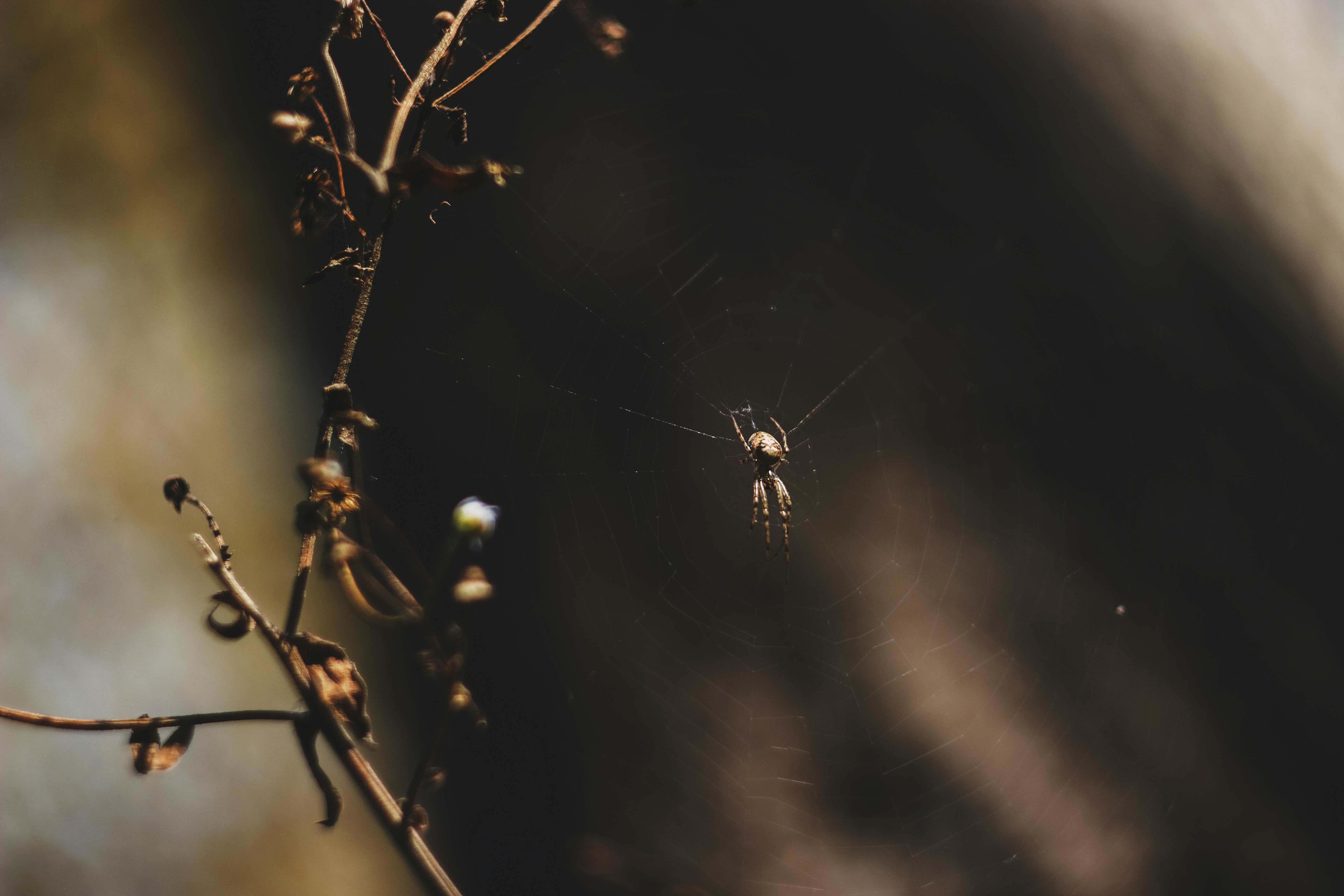 Photo by miloslopusina