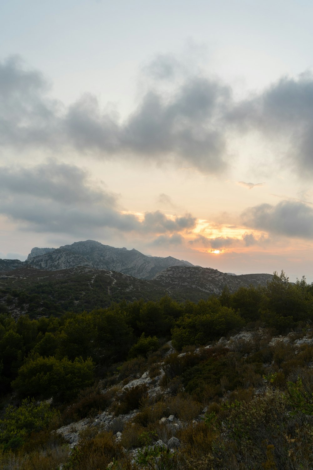 a landscape with trees and mountains in the background