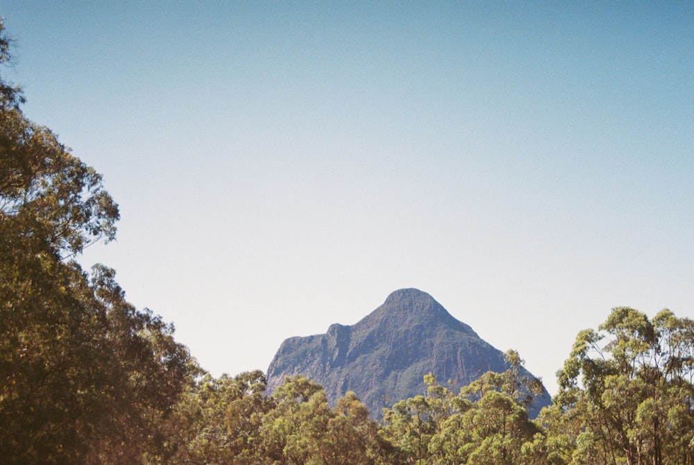 a mountain with trees in front of it