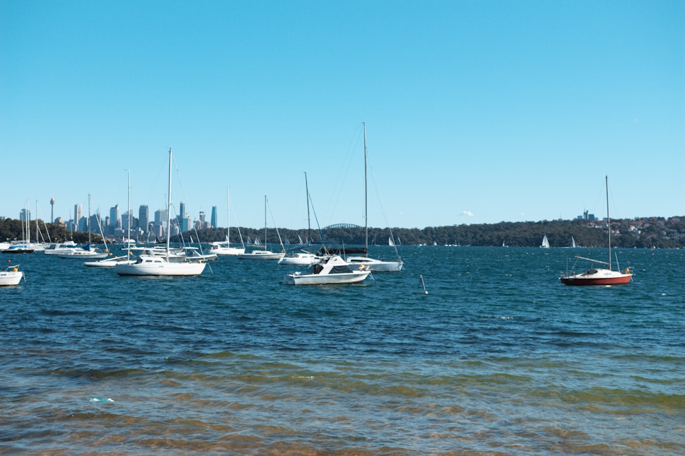 a group of boats sit in a harbor