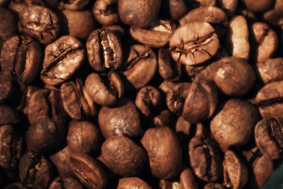 A close-up view of numerous roasted coffee beans, showcasing their rich, dark brown color and distinct textures. The beans are densely packed, with some displaying deep grooves and natural imperfections.