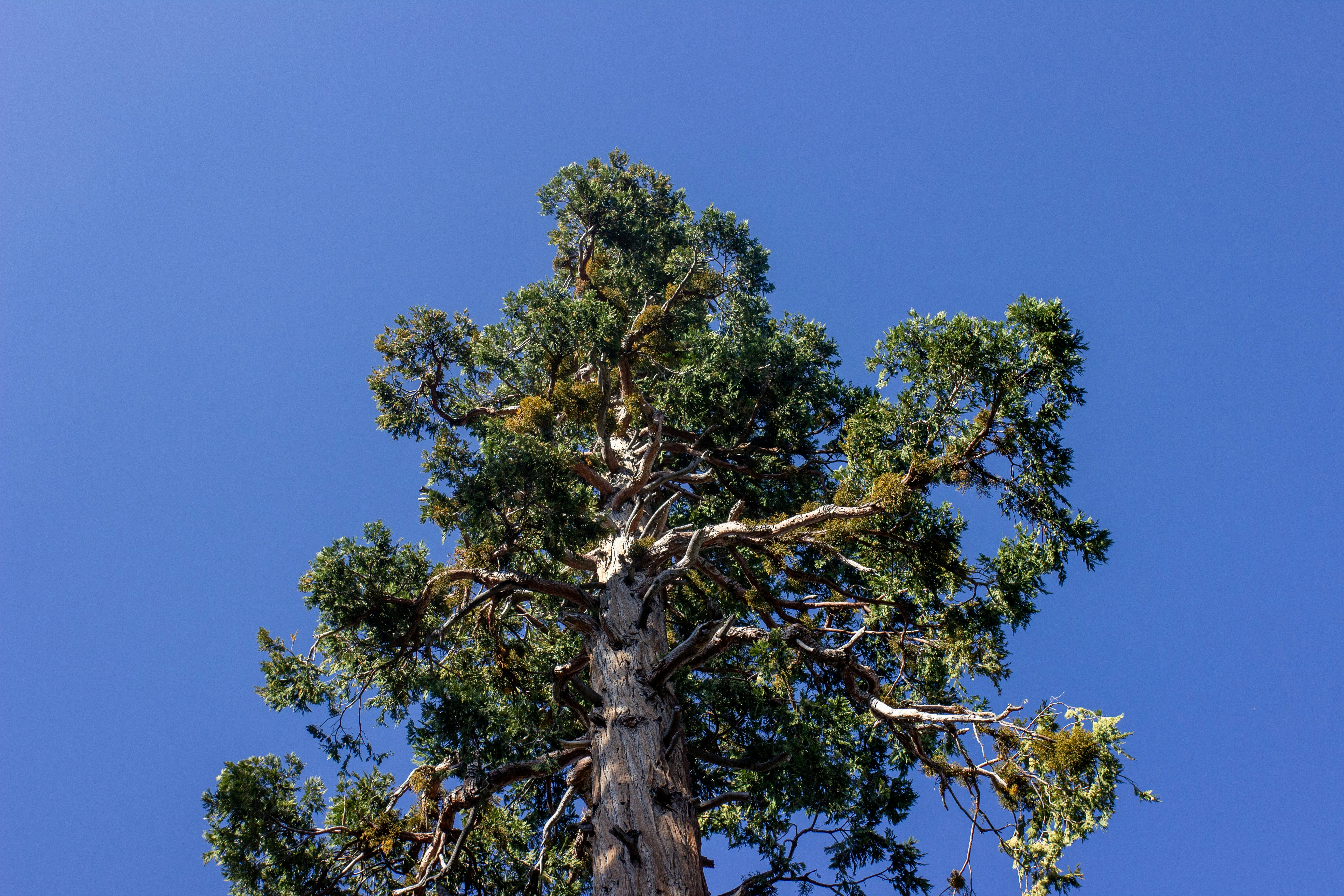 Photo by baileemichaelaphoto