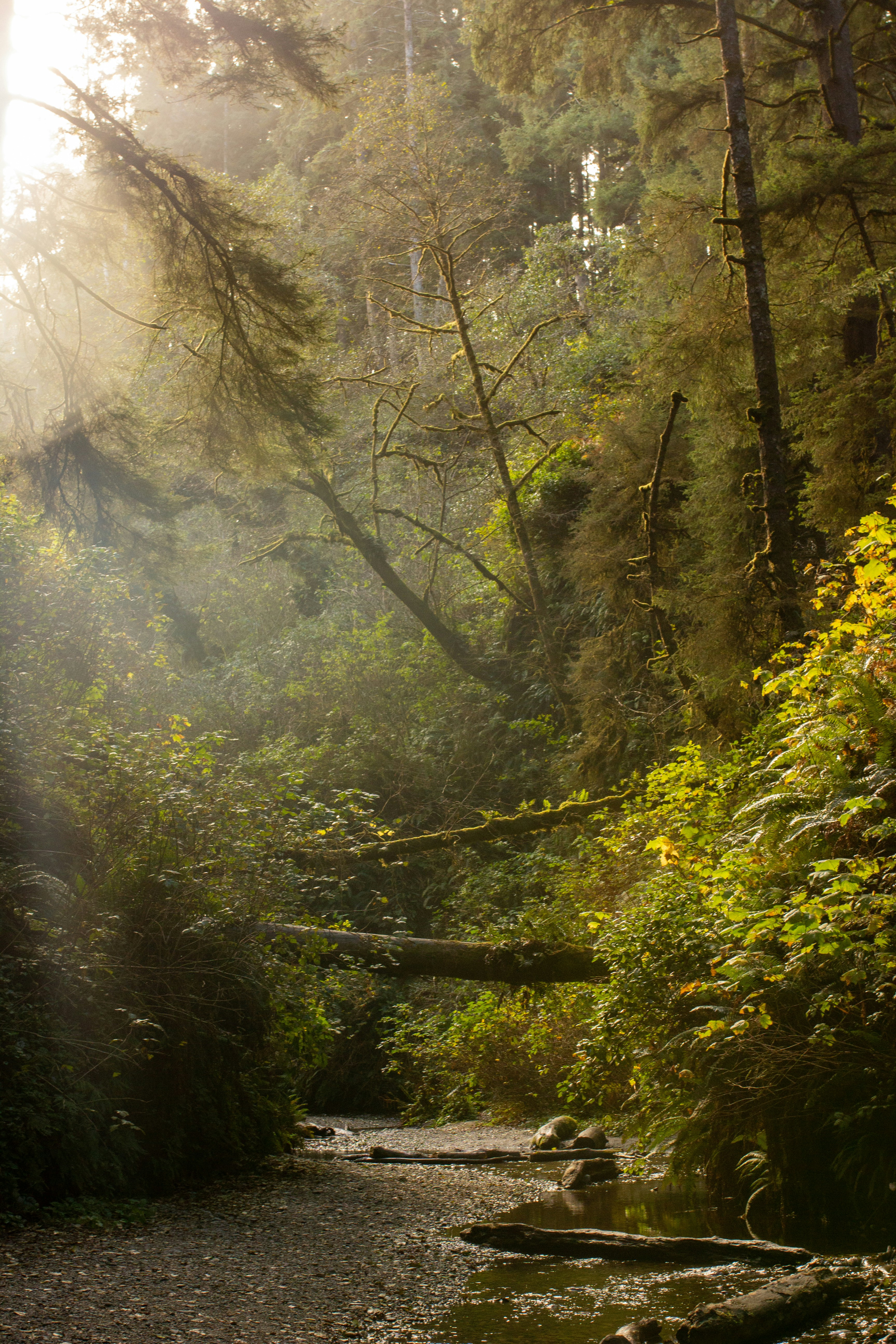 Photo by baileemichaelaphoto