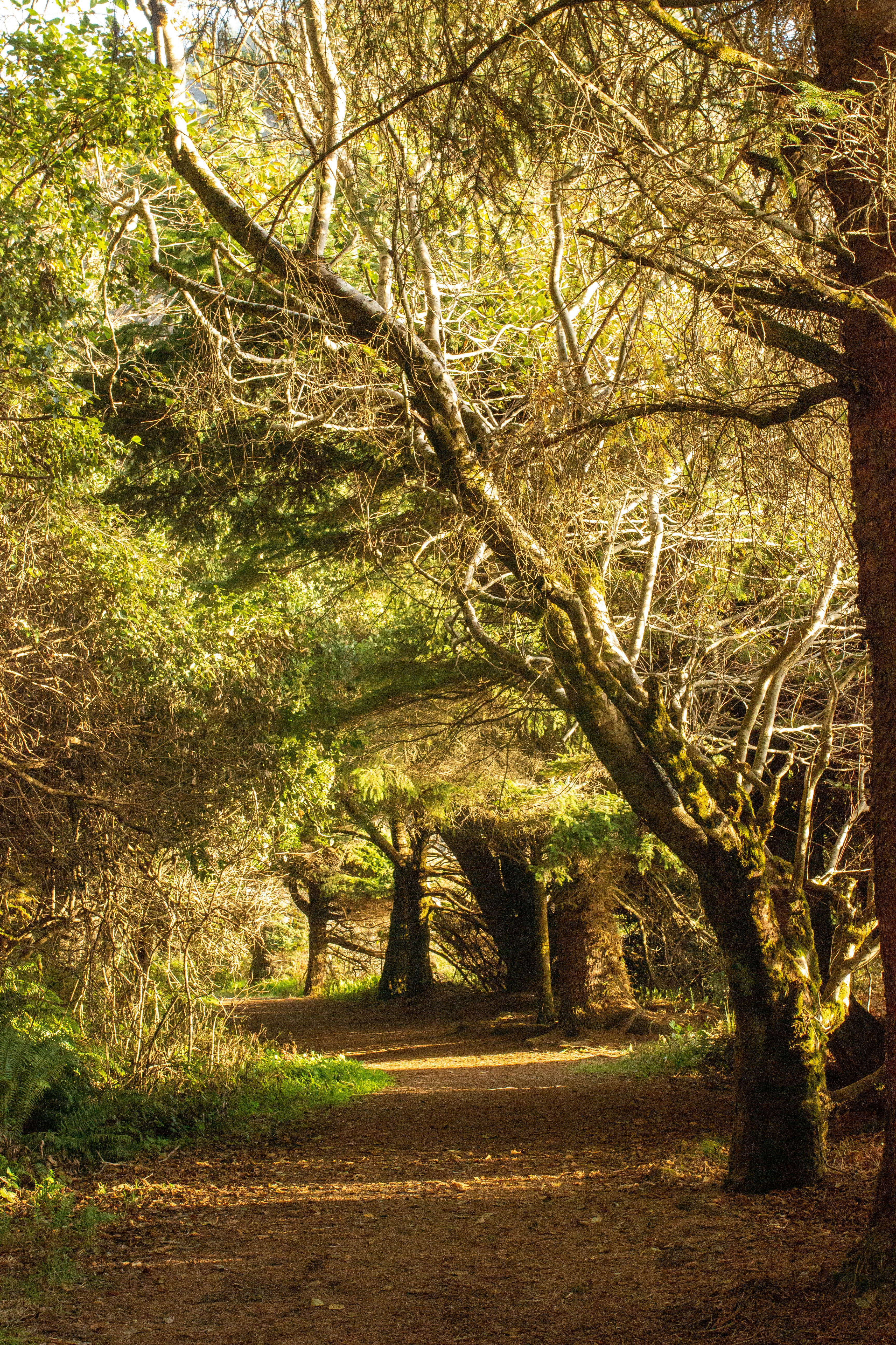 Photo by baileemichaelaphoto