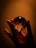 A hand holds a glass sphere against a dimly lit background. The sphere contains intricate patterns and bubbles, creating a mesmerizing effect. Shadows and light interplay to give a mysterious and artistic feel.