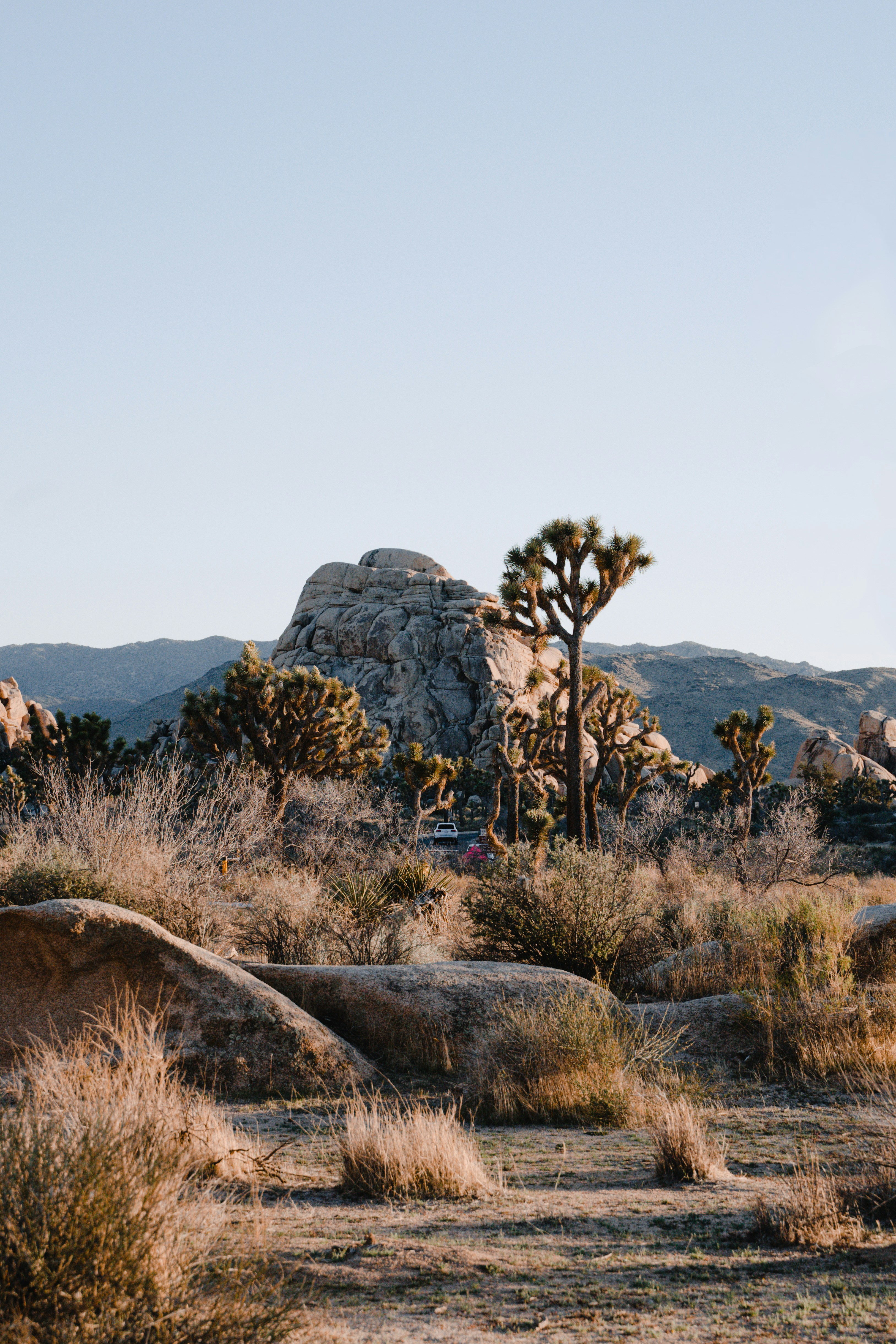 Photo by iam_aspencer