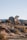 A desert landscape features large rock formations and several distinctive Joshua trees. The terrain is dry, with sparse grass and bushes scattered across the sandy ground. The scene appears calm and serene, with clear blue skies overhead.