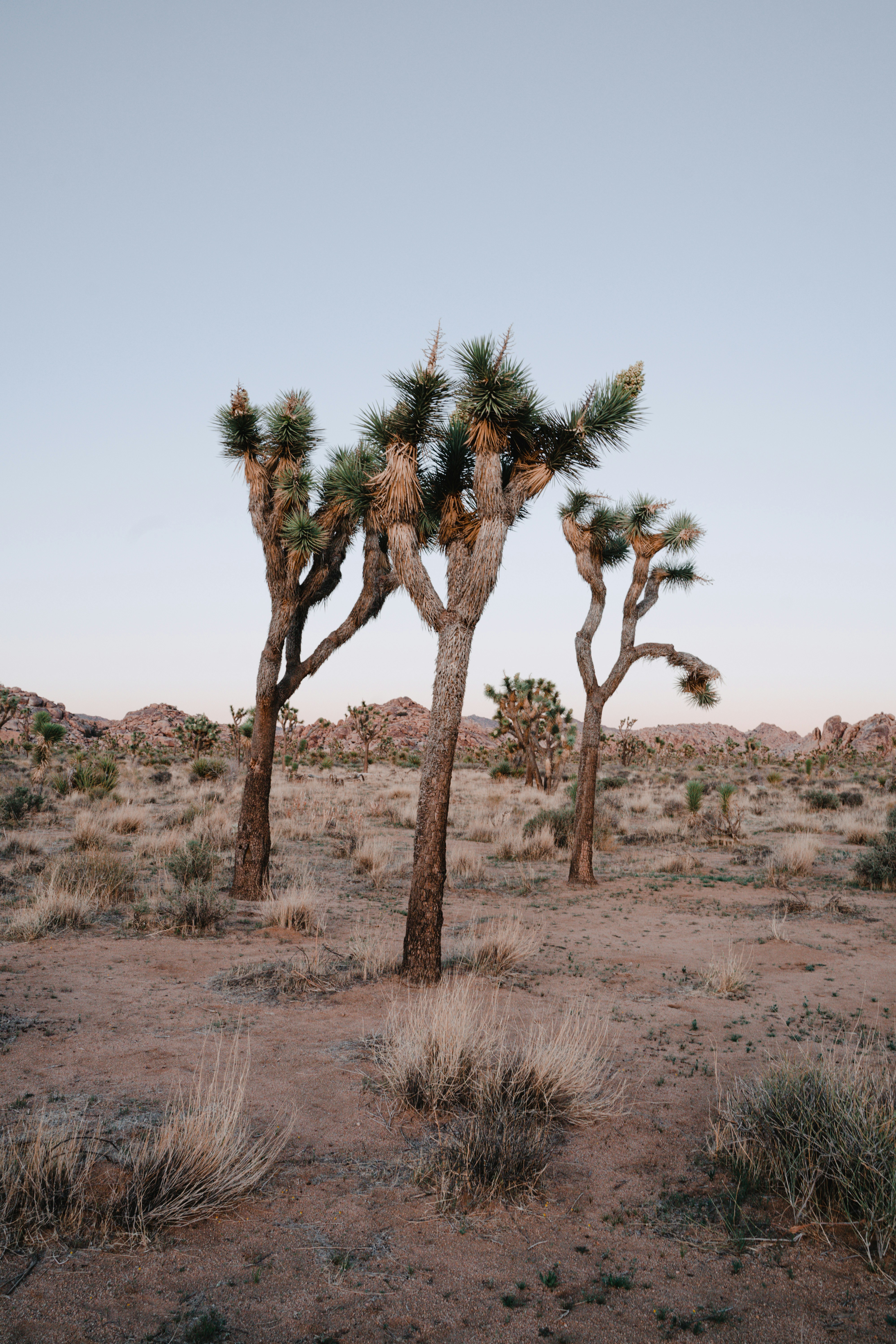 Photo by iam_aspencer