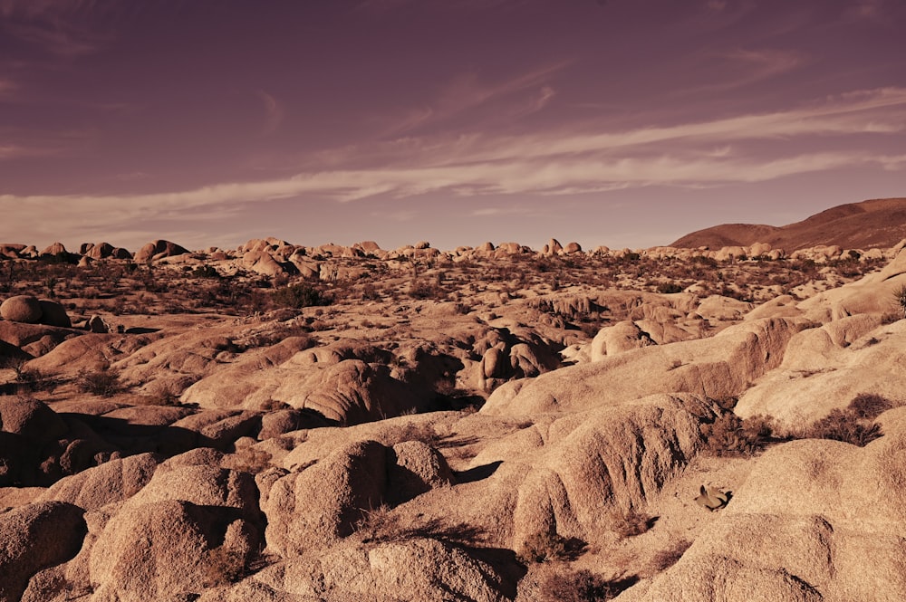 a rocky landscape with a purple sky