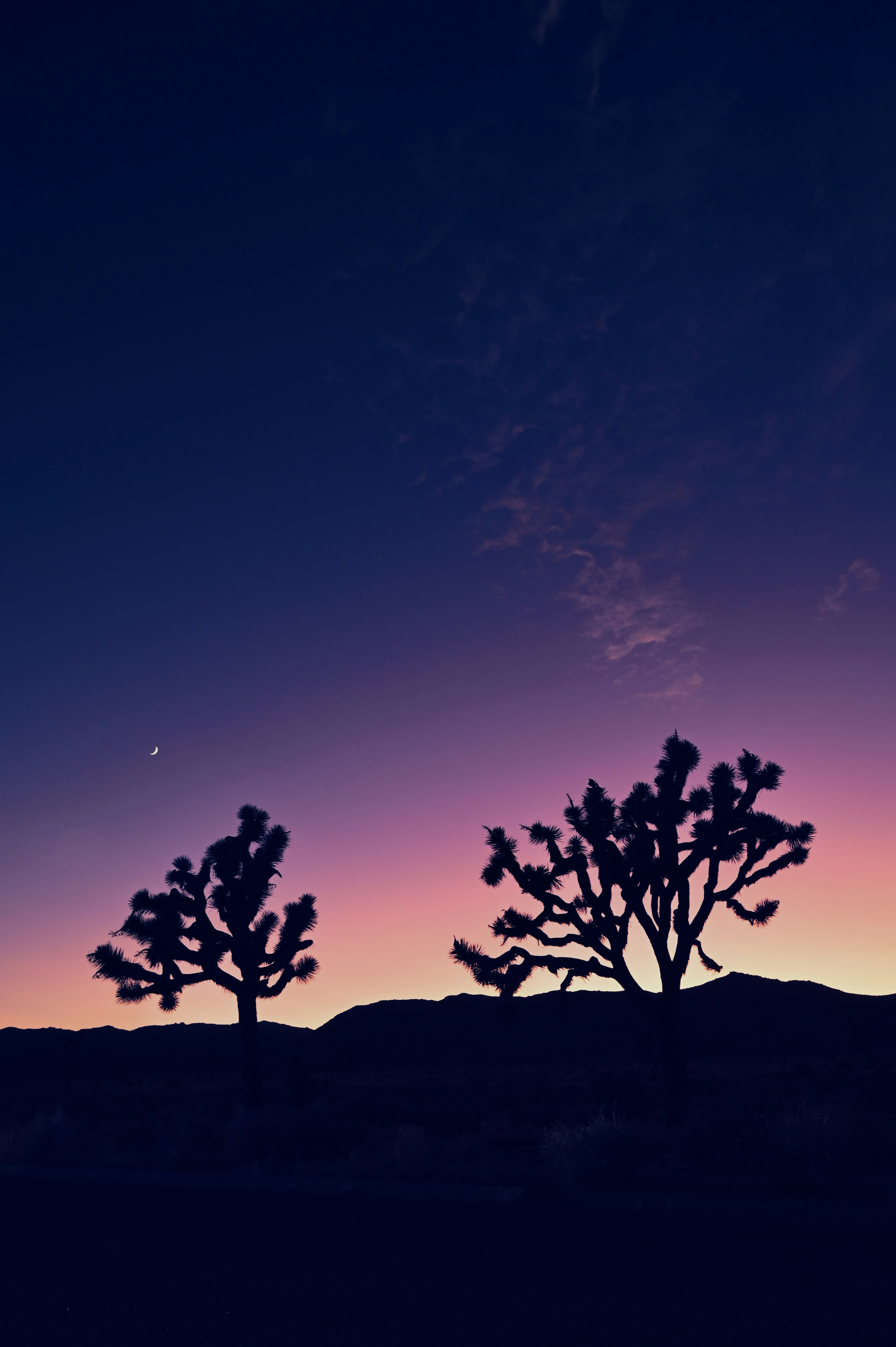 Photo by mr_white