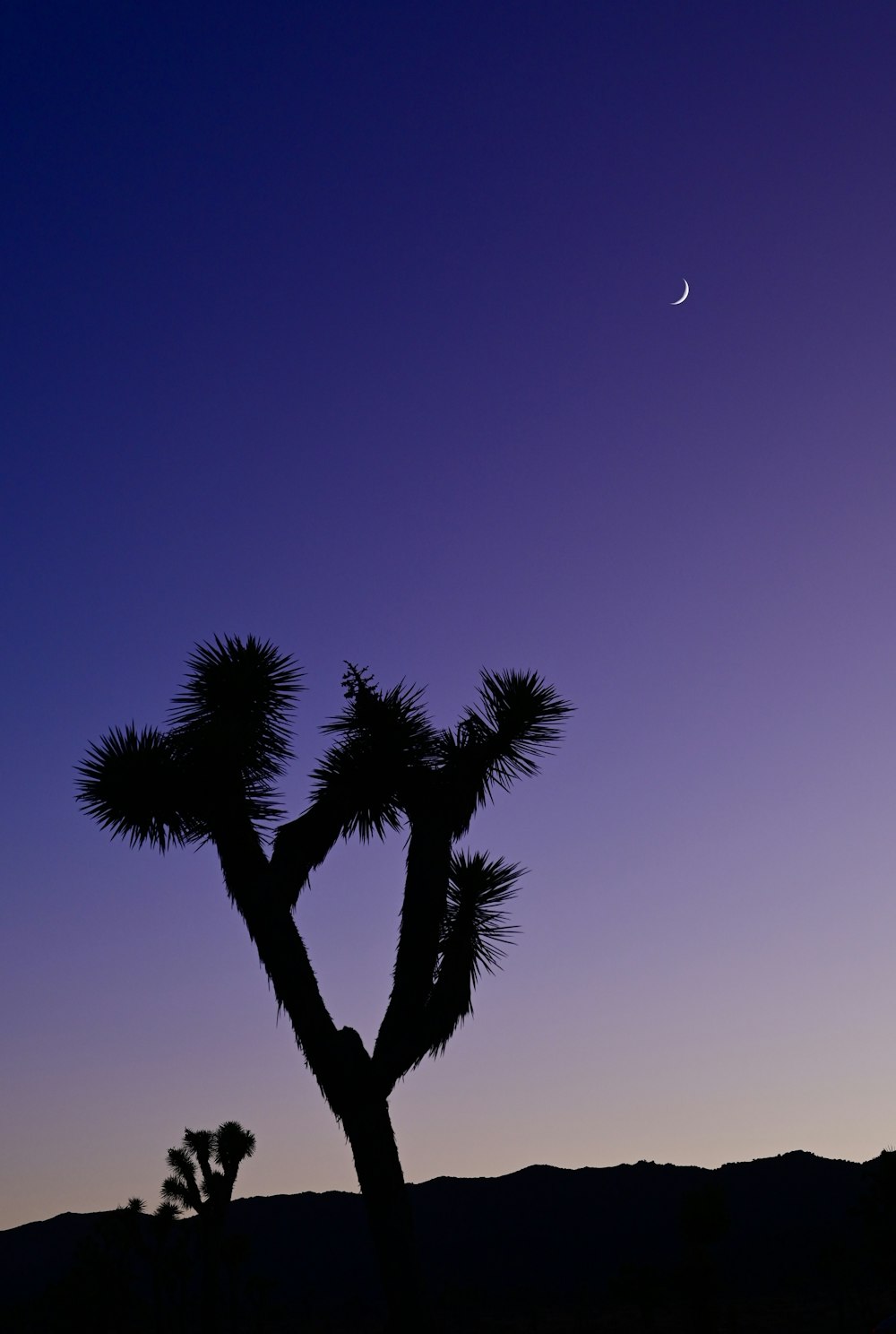 a moon in the sky