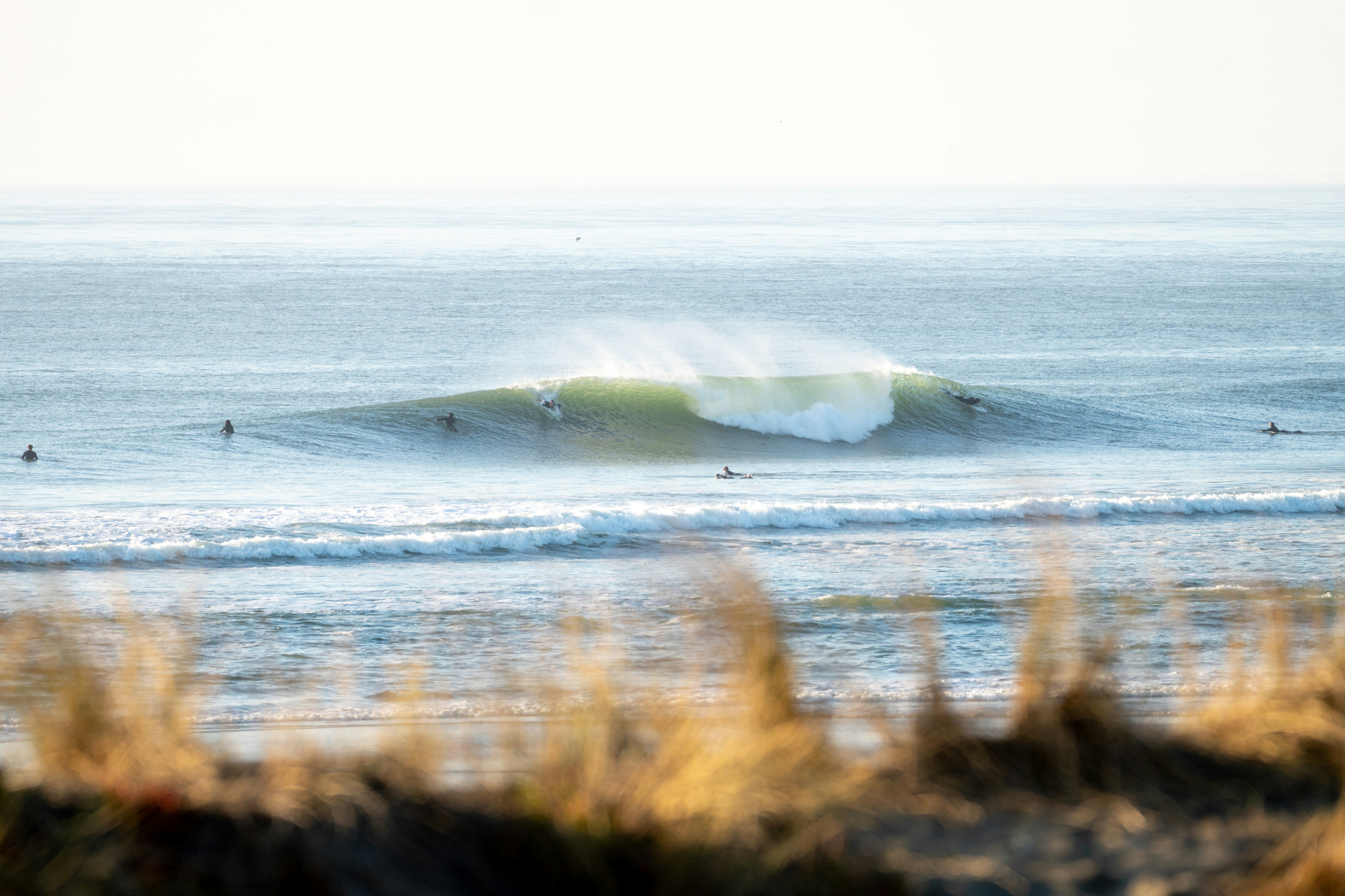 a group of people swimming in the ocean