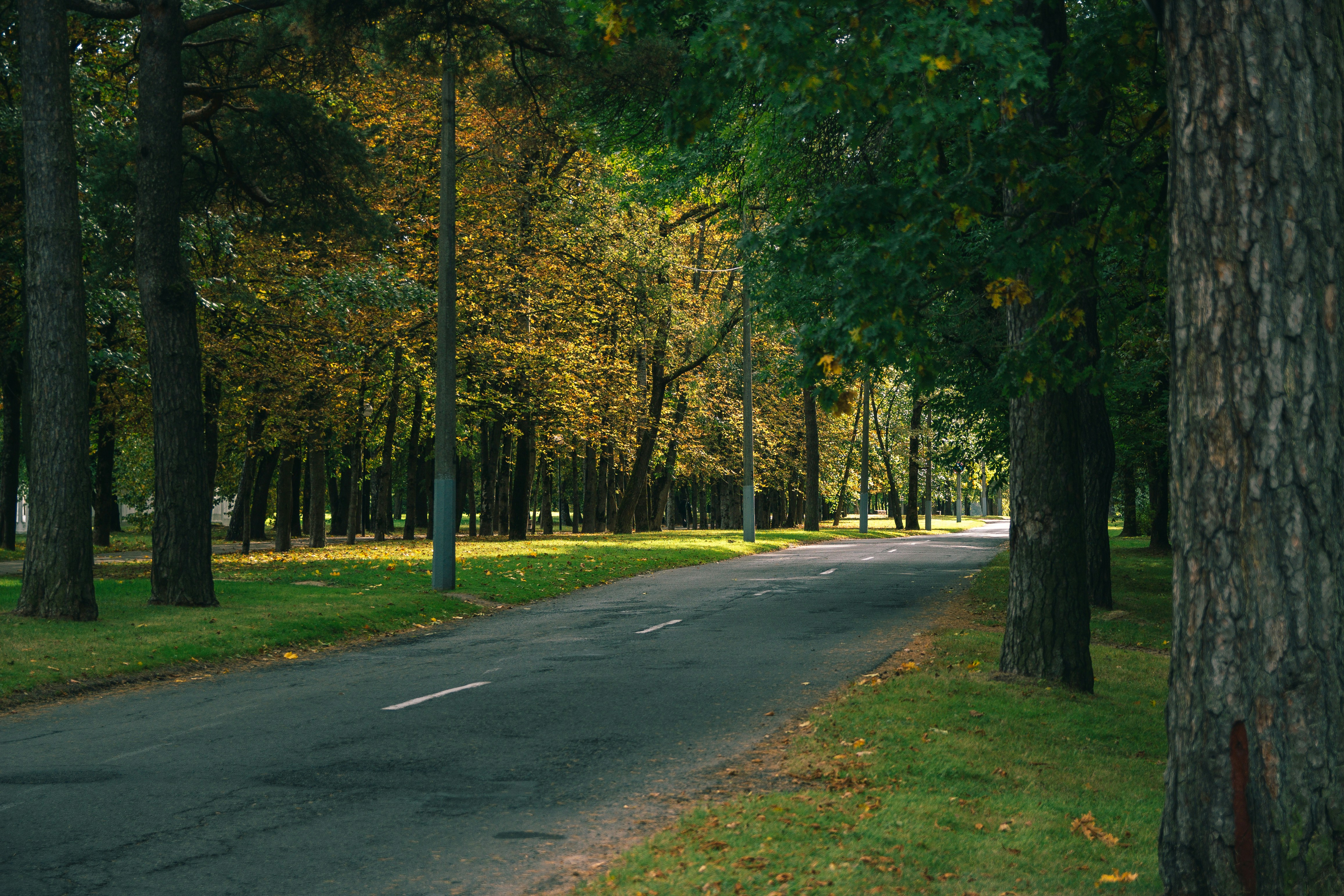 Photo by darkmoon_afa