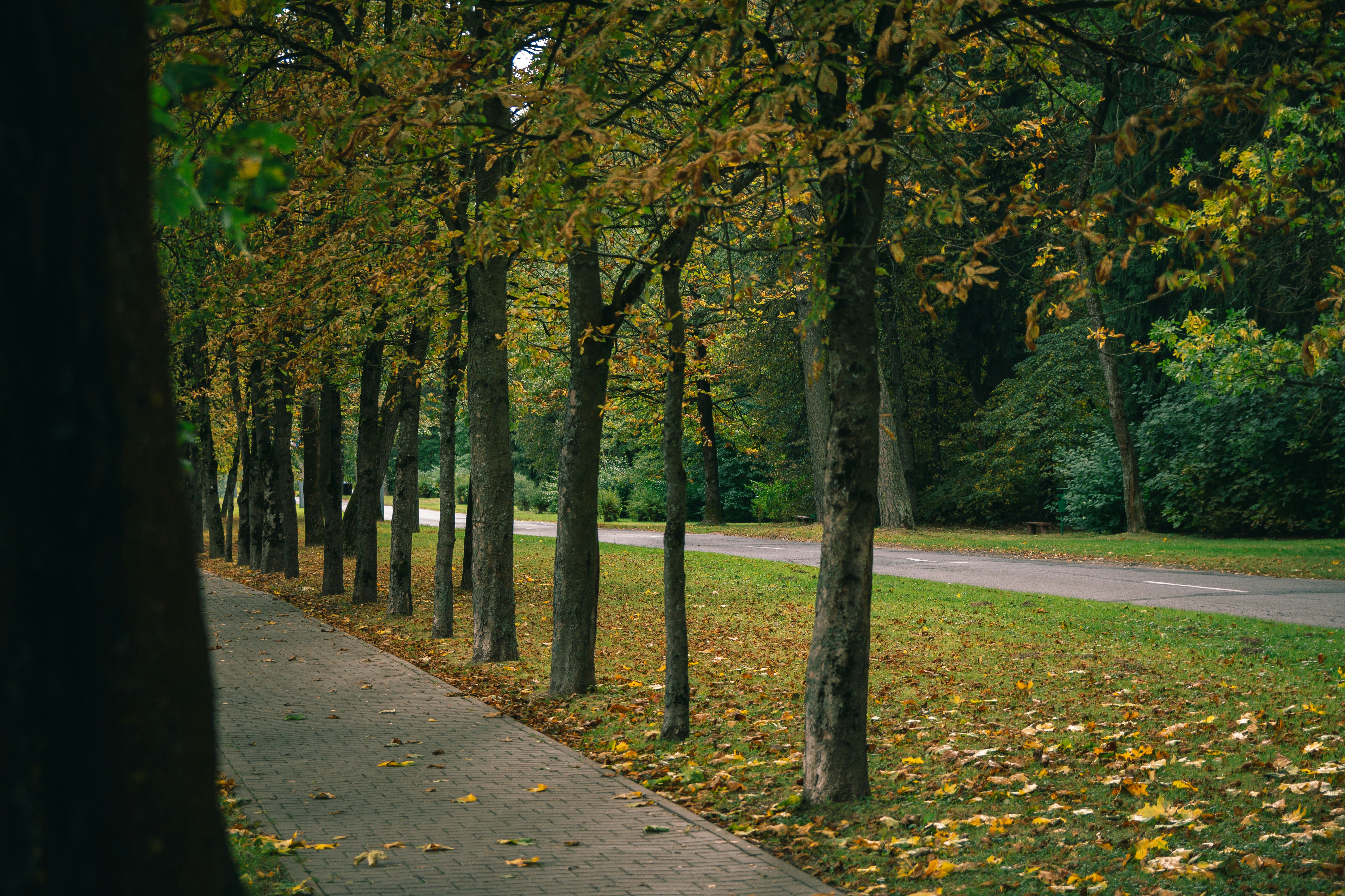 Photo by darkmoon_afa