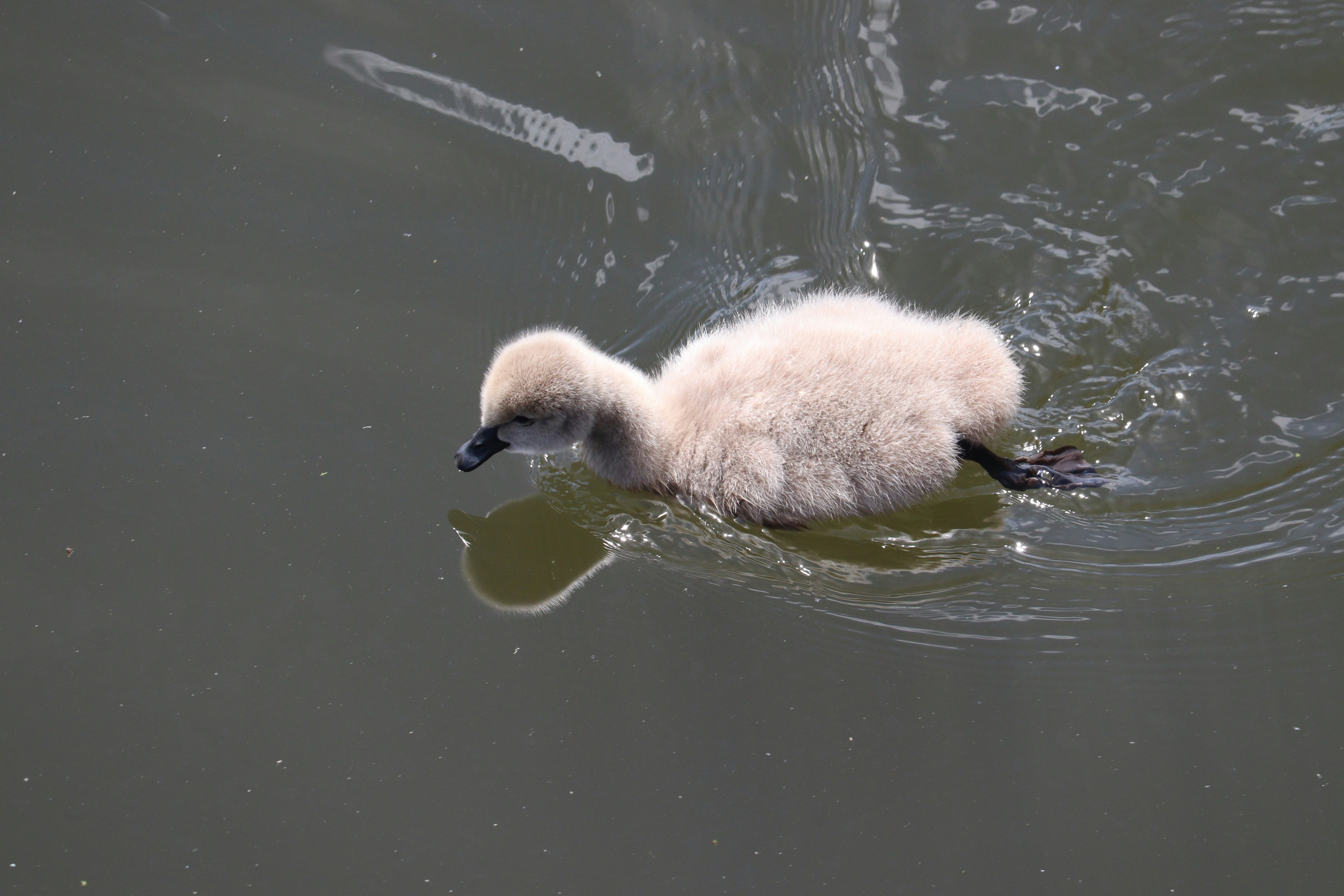 Photo by sandeepsapkota