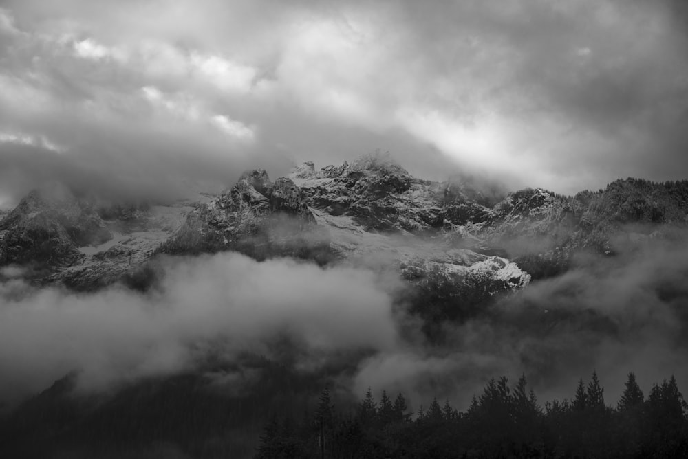 a foggy valley with trees