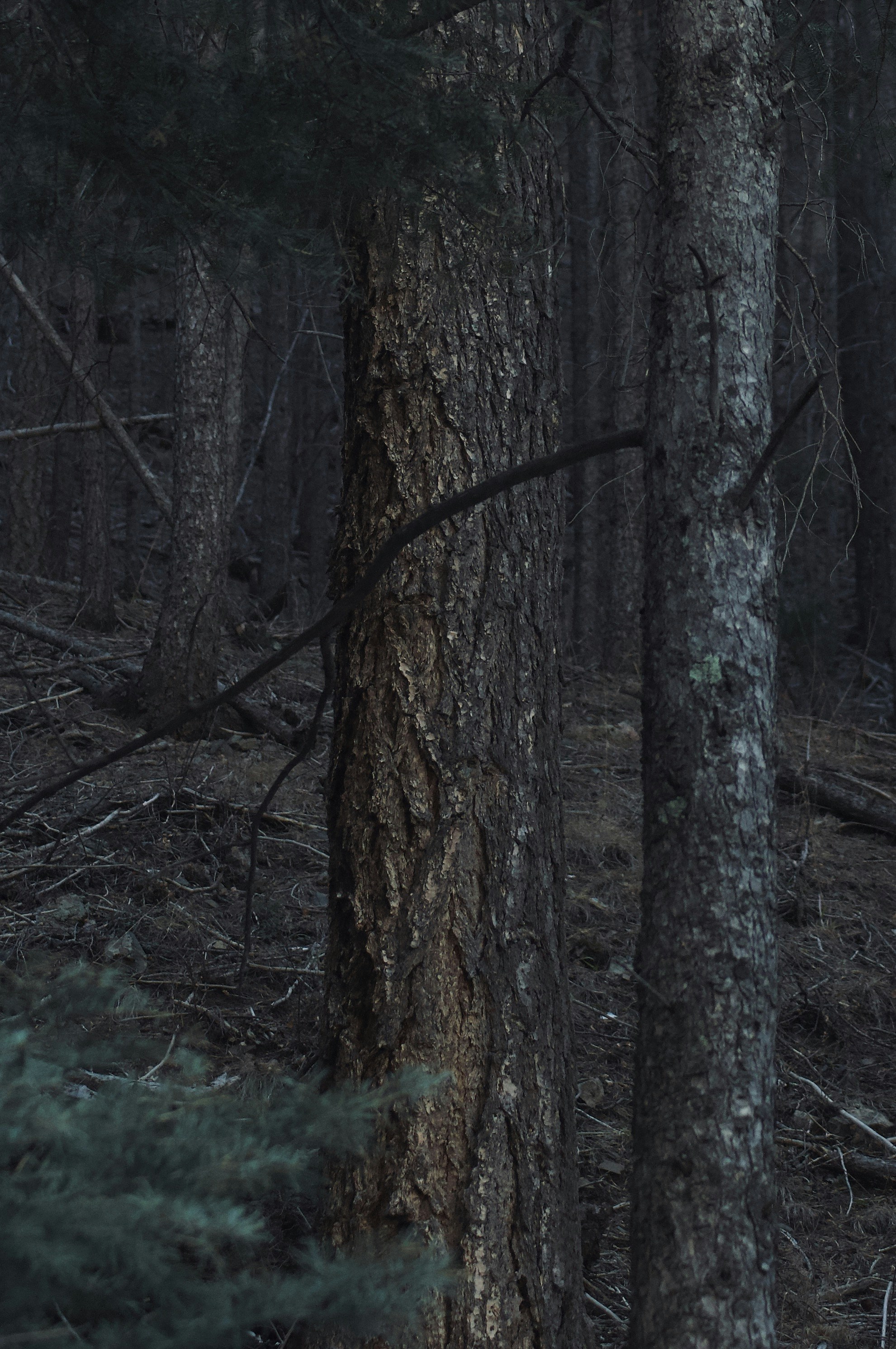 Photo by alexanderphotography