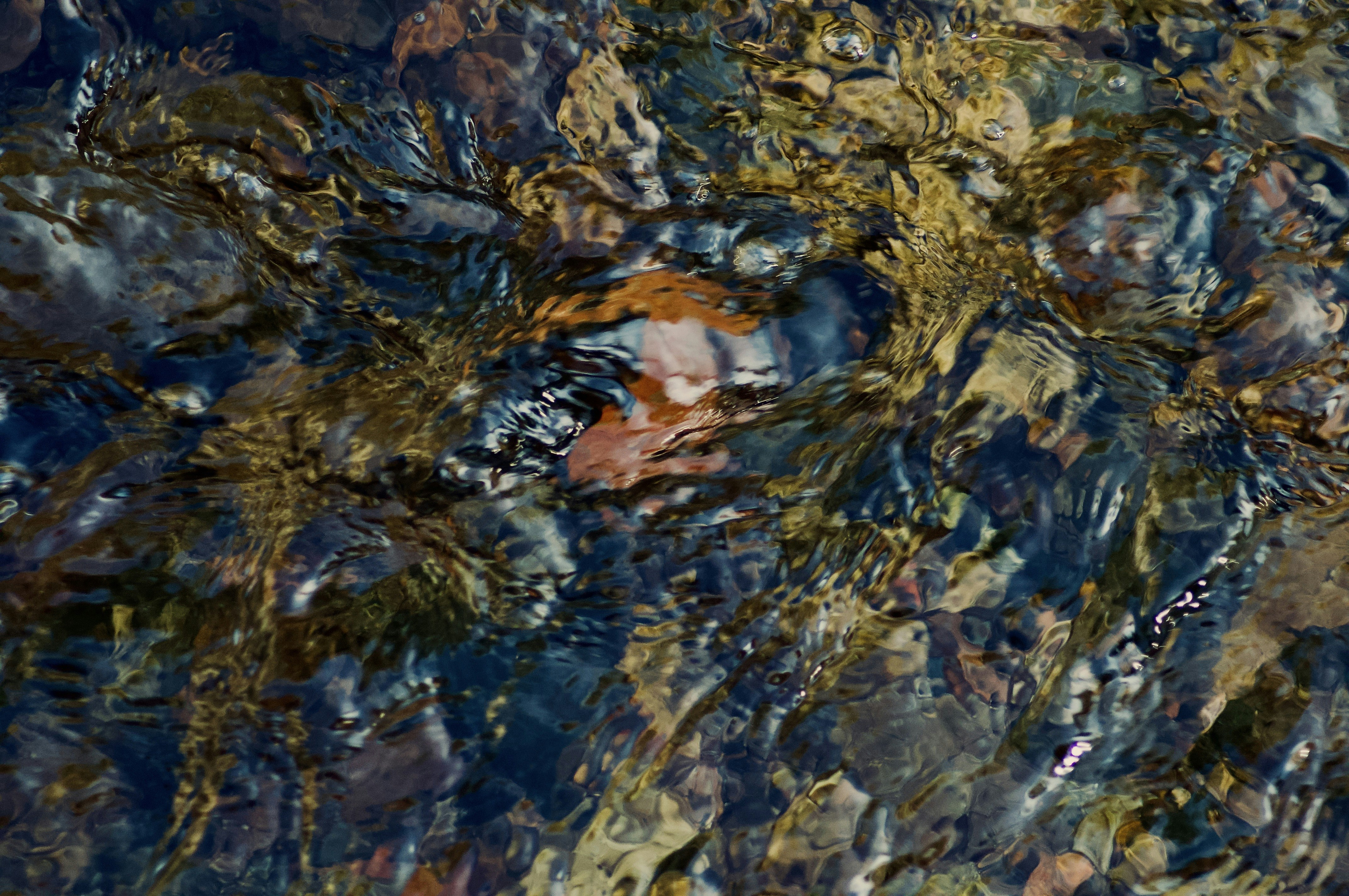 Photo by alexanderphotography