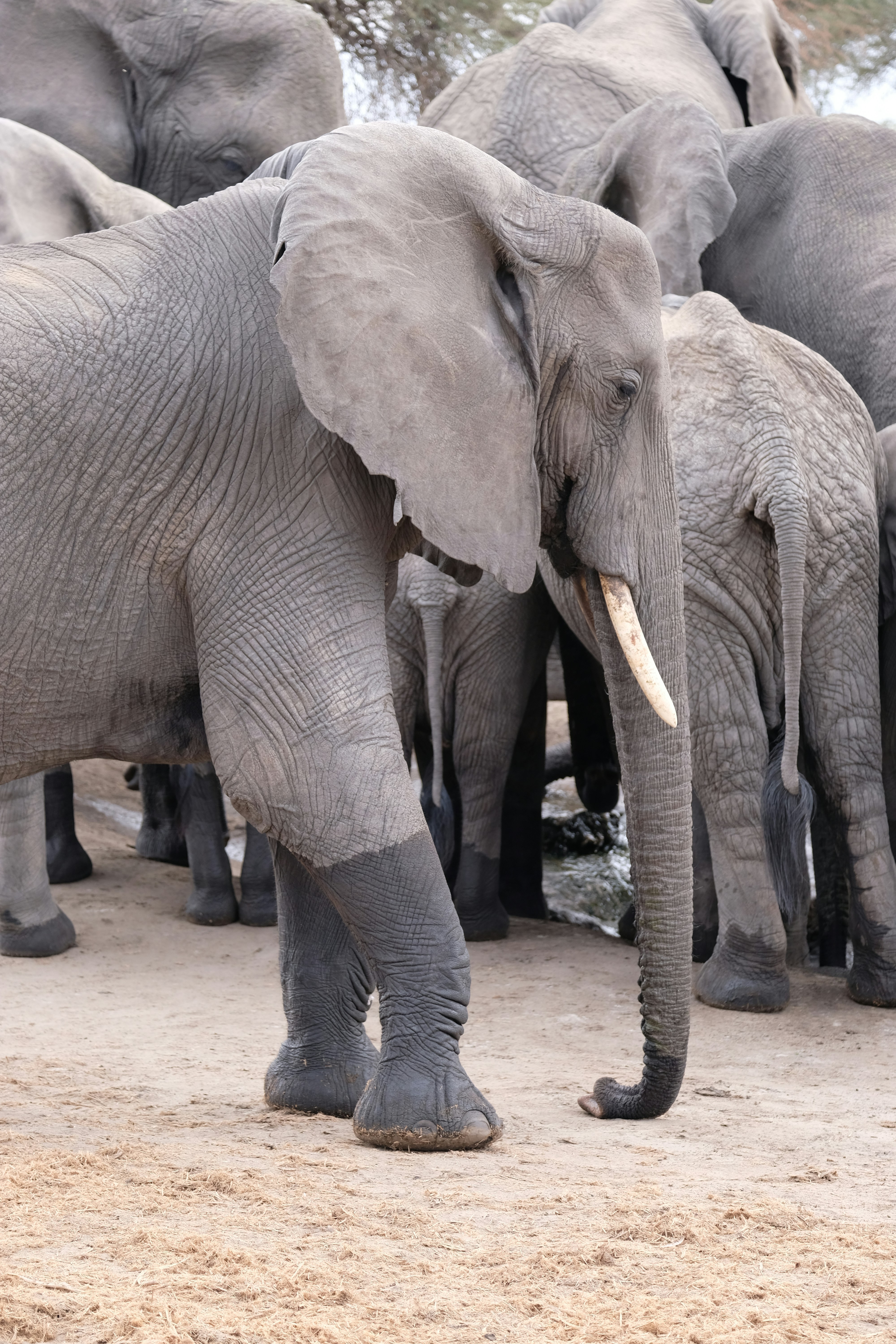 Photo by cooksphotography