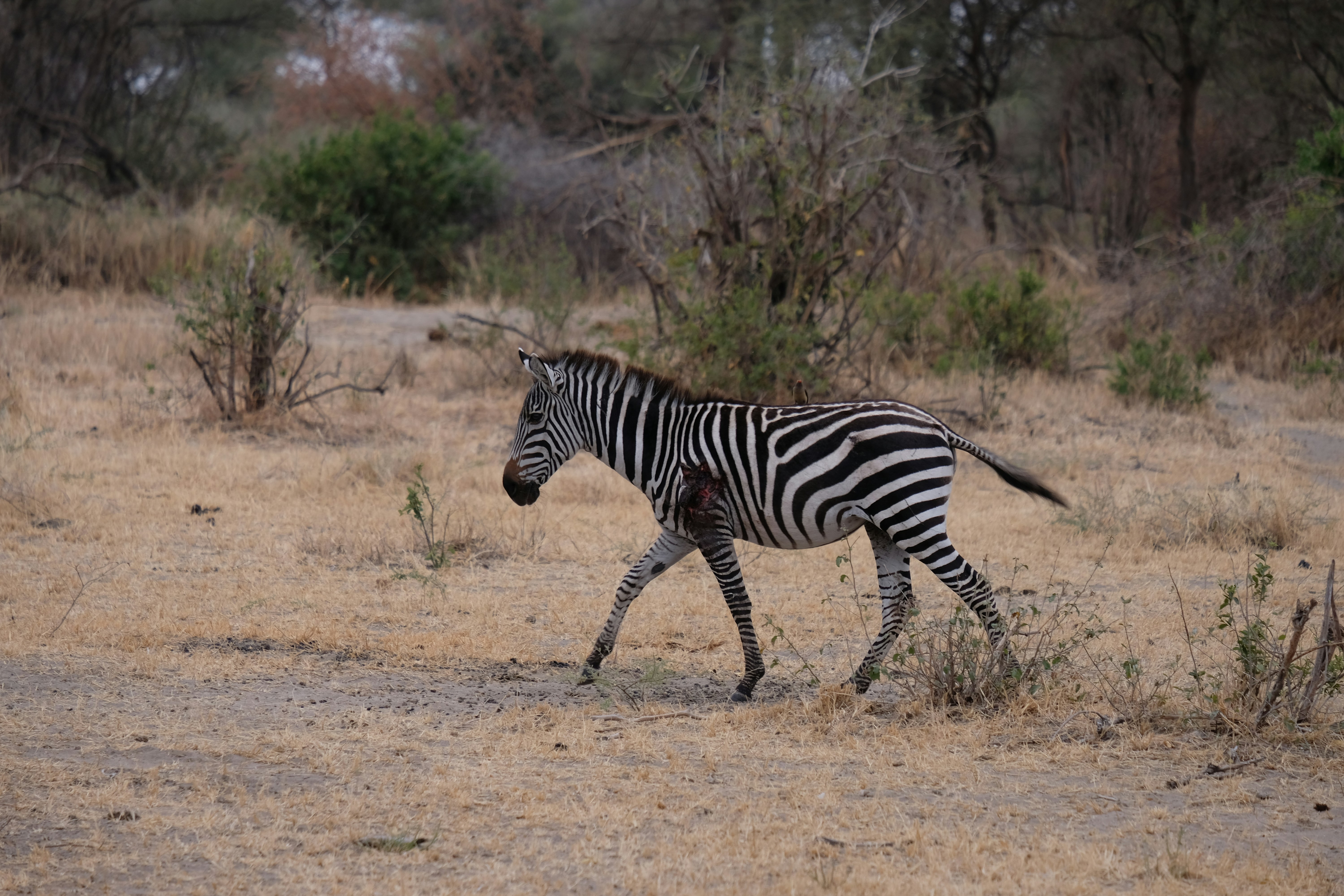 Photo by cooksphotography